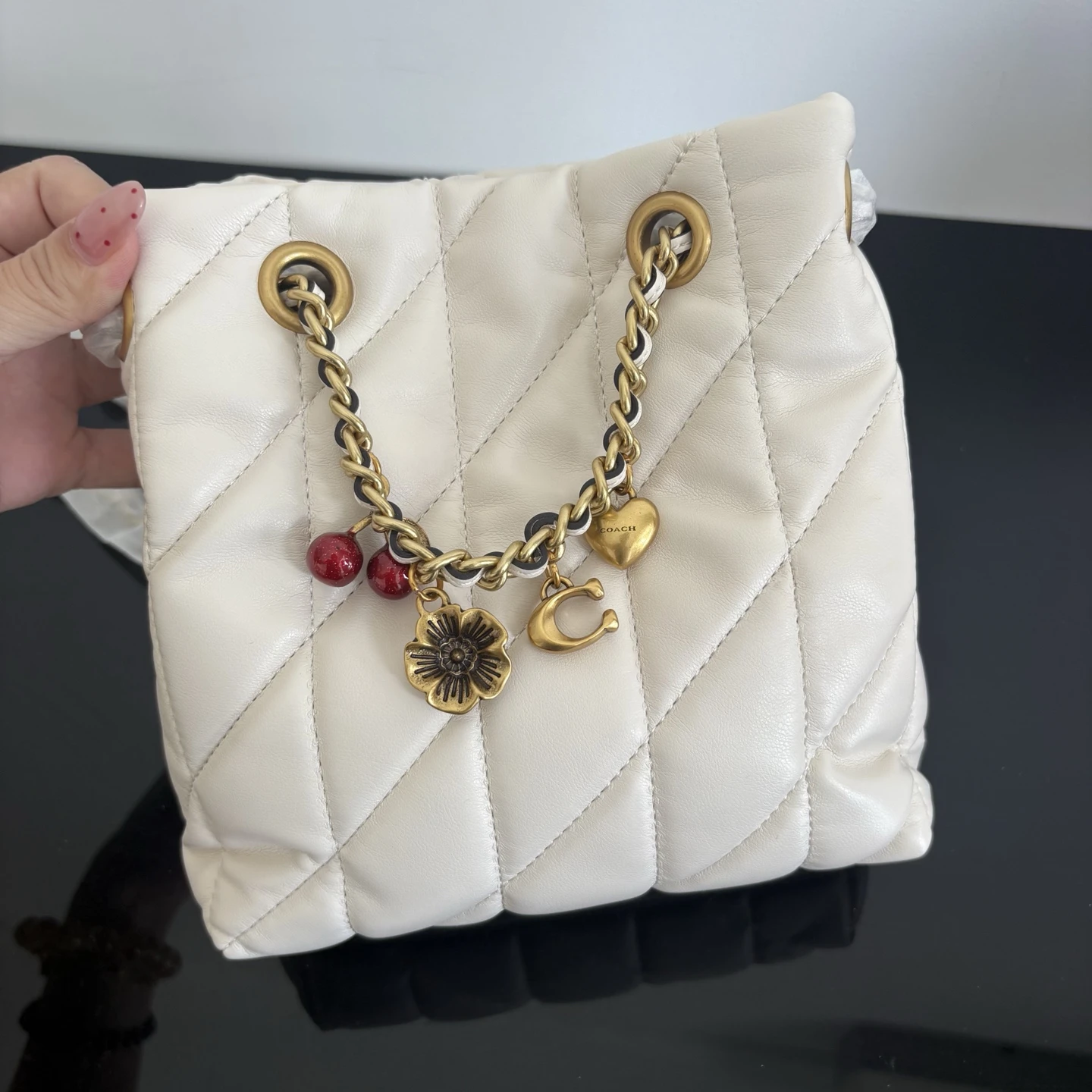 Coach CES62 Bag