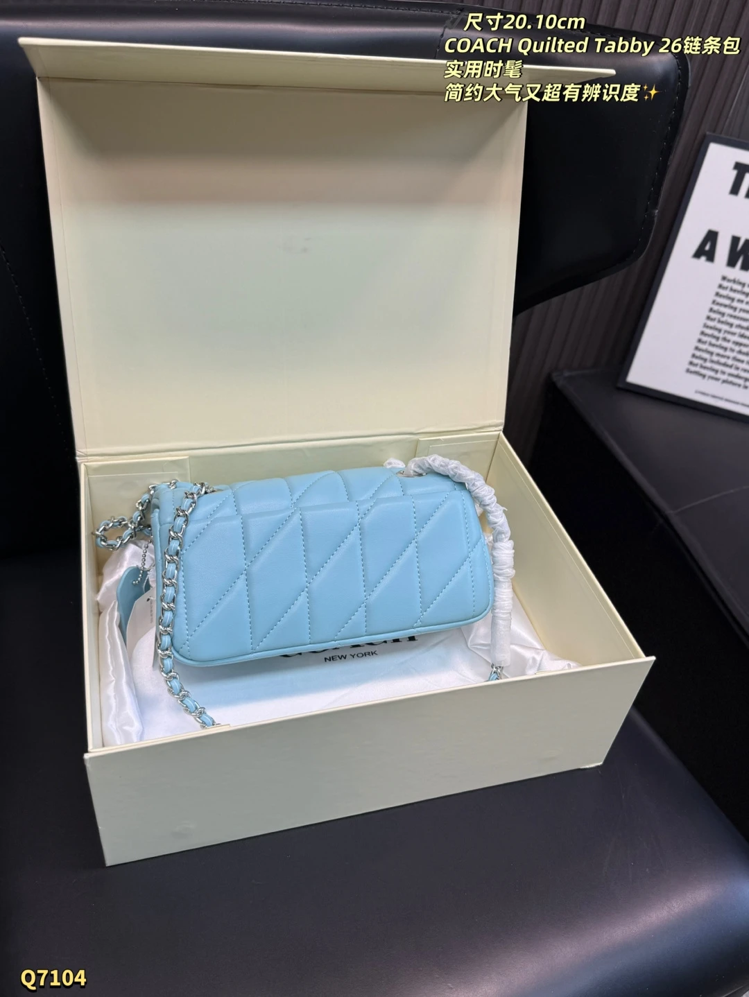 COACH Quilted Tabby 20 Chain Bag