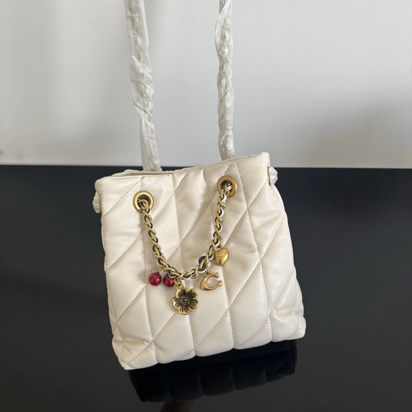 Coach CES62 Bag