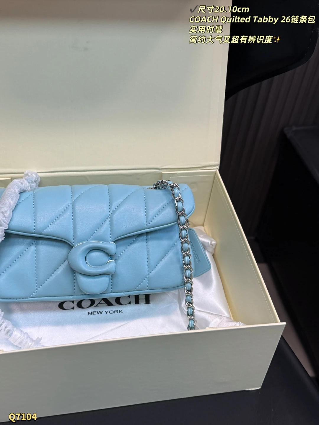 COACH Quilted Tabby 20 Chain Bag