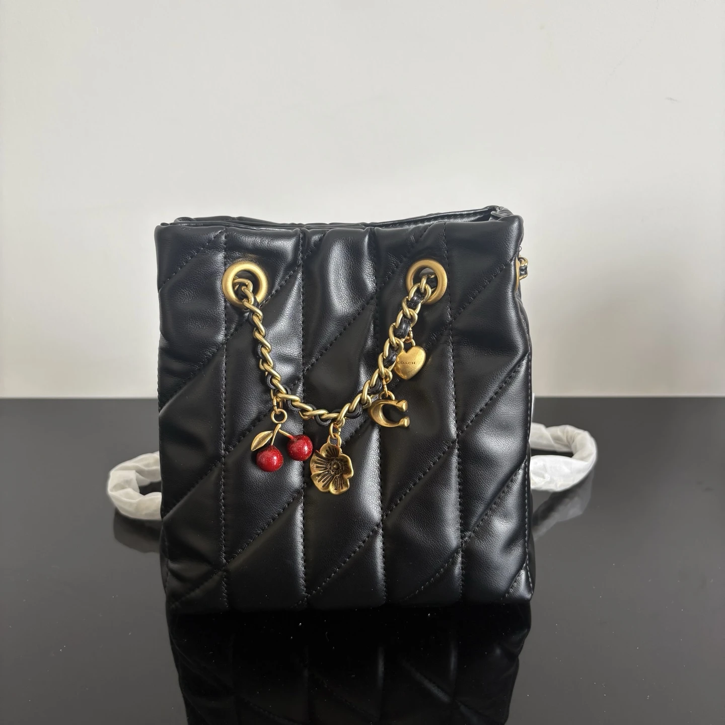 Coach CES62 Bag
