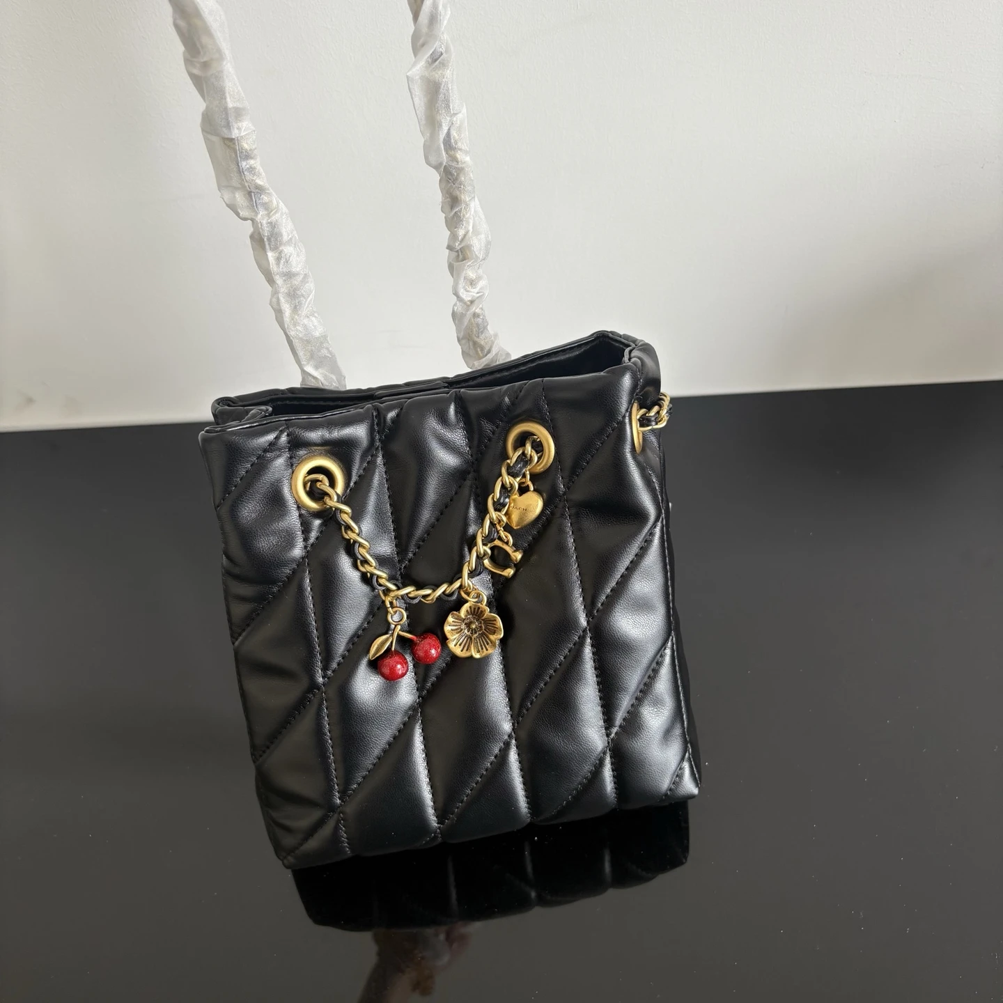 Coach CES62 Bag