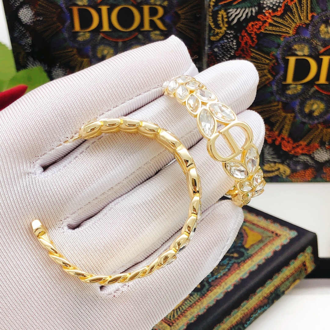 Dior Earrings