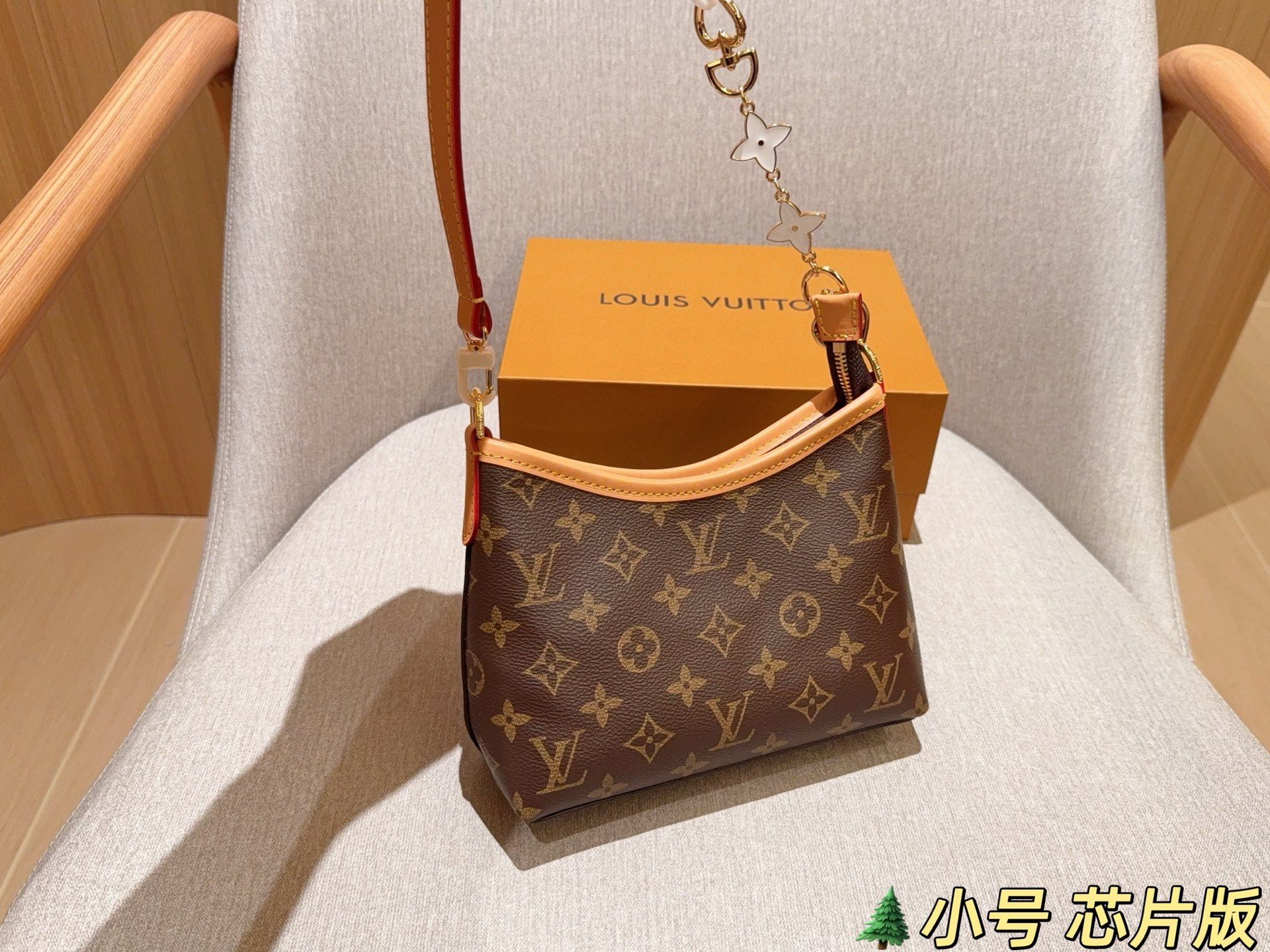 LV Hobo Bag