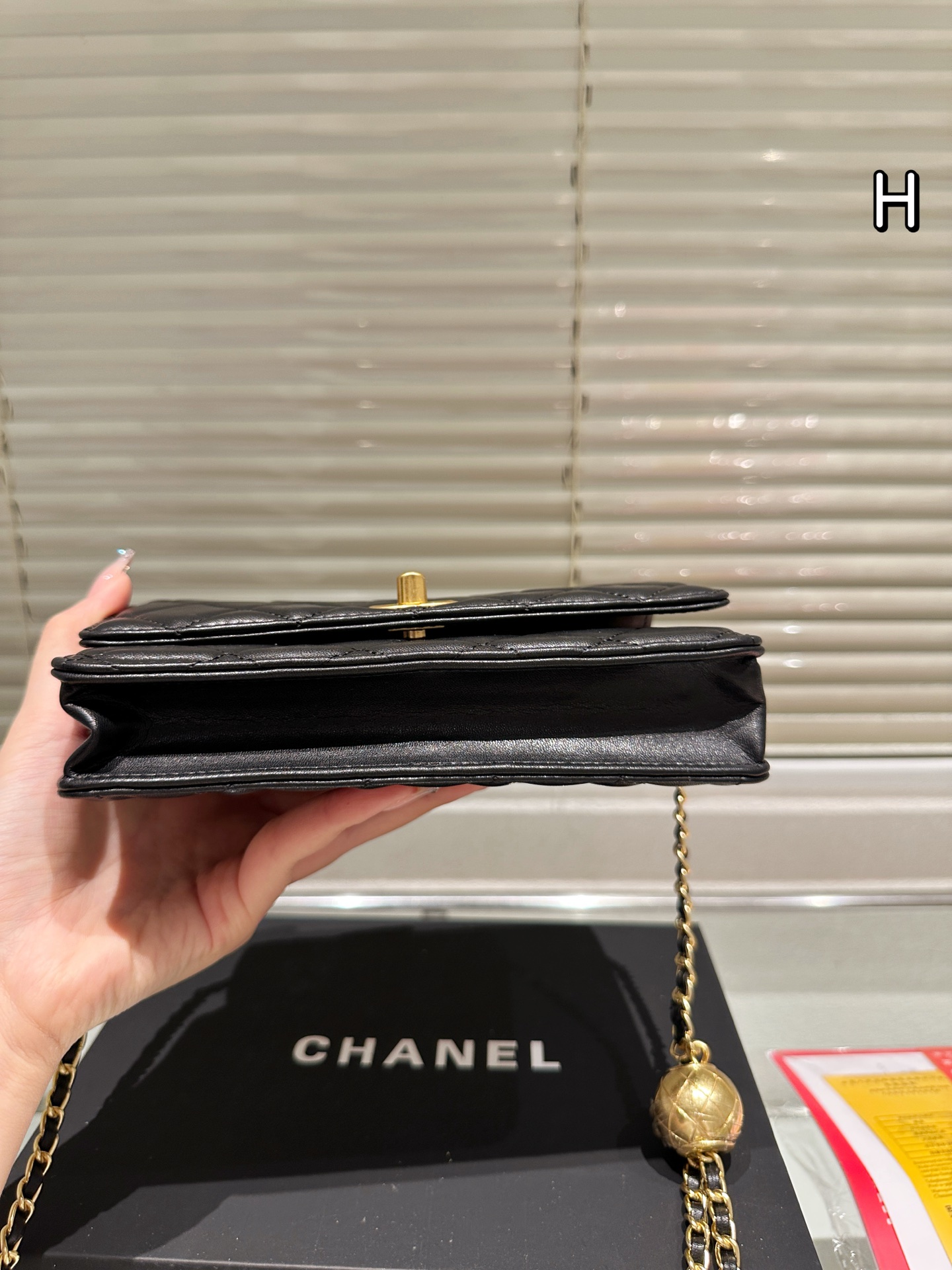 Chanel 19 Trendy Woc Crossbody Bag