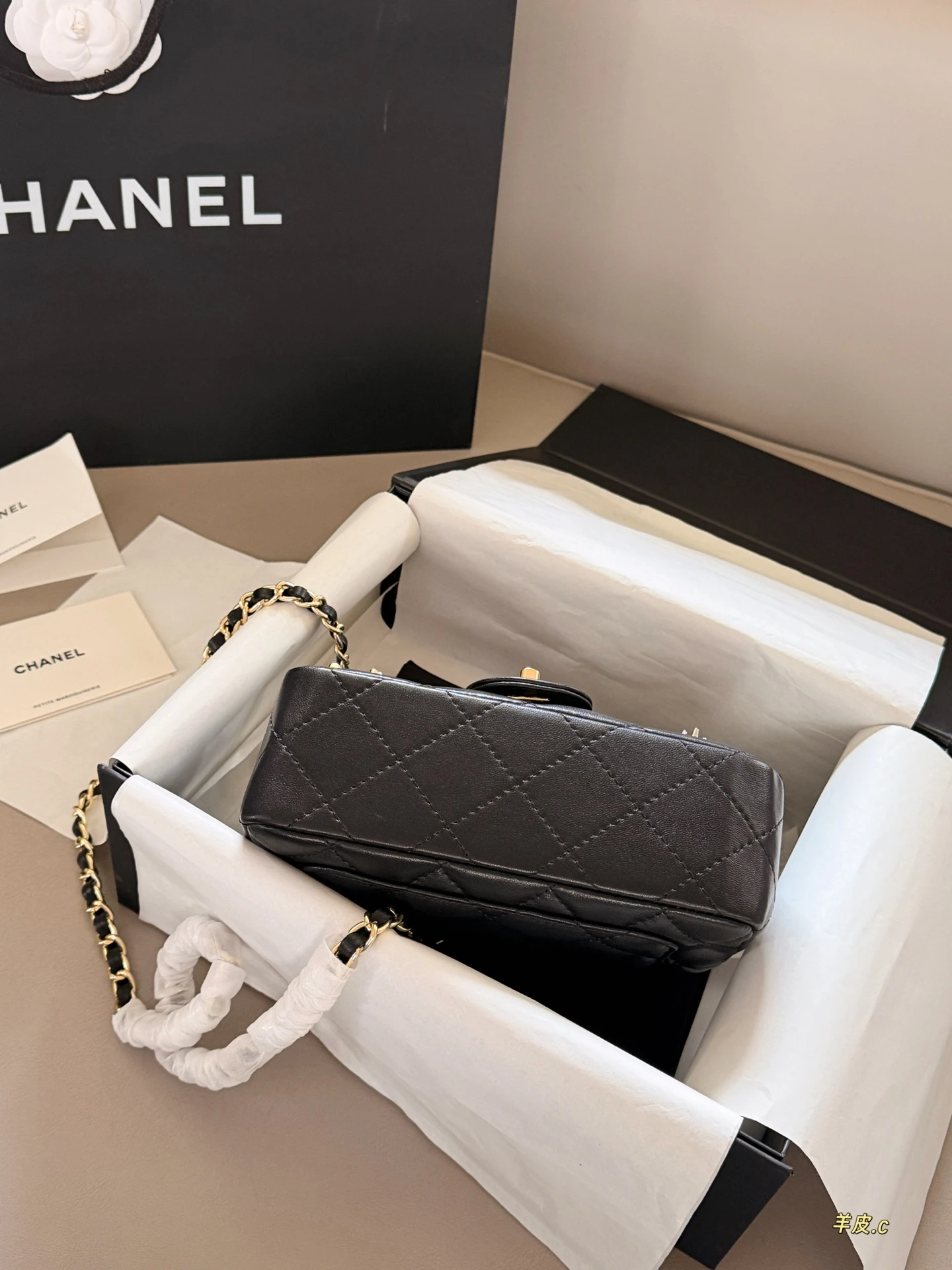 Chanel Spring/Summer 2026 New Arrival CF Bag with Astronaut Badge