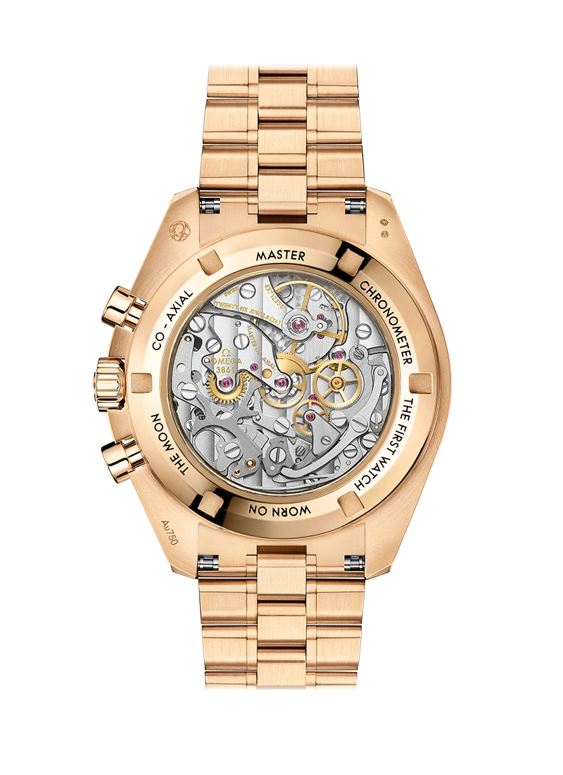 MOONWATCH PROFESSIONAL CO‑AXIAL MASTER CHRONOMETER CHRONOGRAPH 42 MM-310.60.42.50.99.002