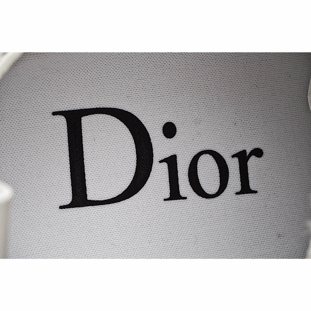 Dior B23 Oblique Slip-on Low Top Sneakers Sheer Print Sneakers