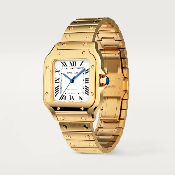 CARTIER santos 18kt Yellow Gold Men's WatchItem -WGSA0007(AAAAA)