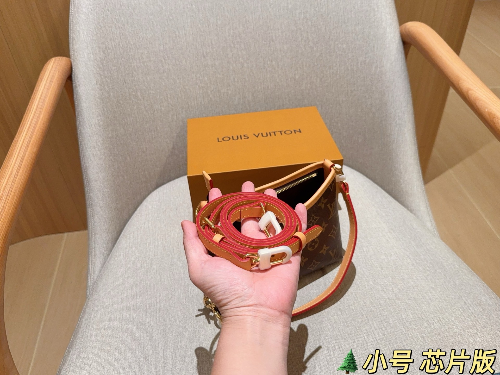 LV Hobo Bag