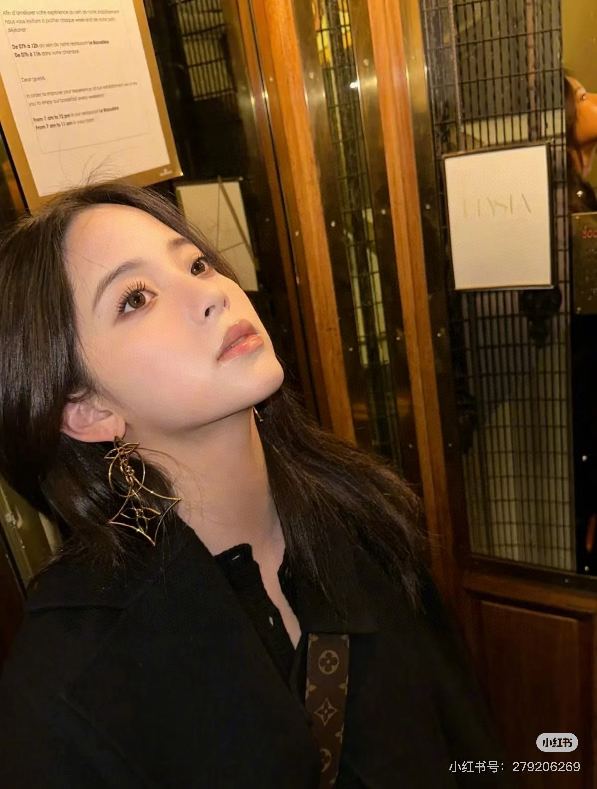 LV Earrings