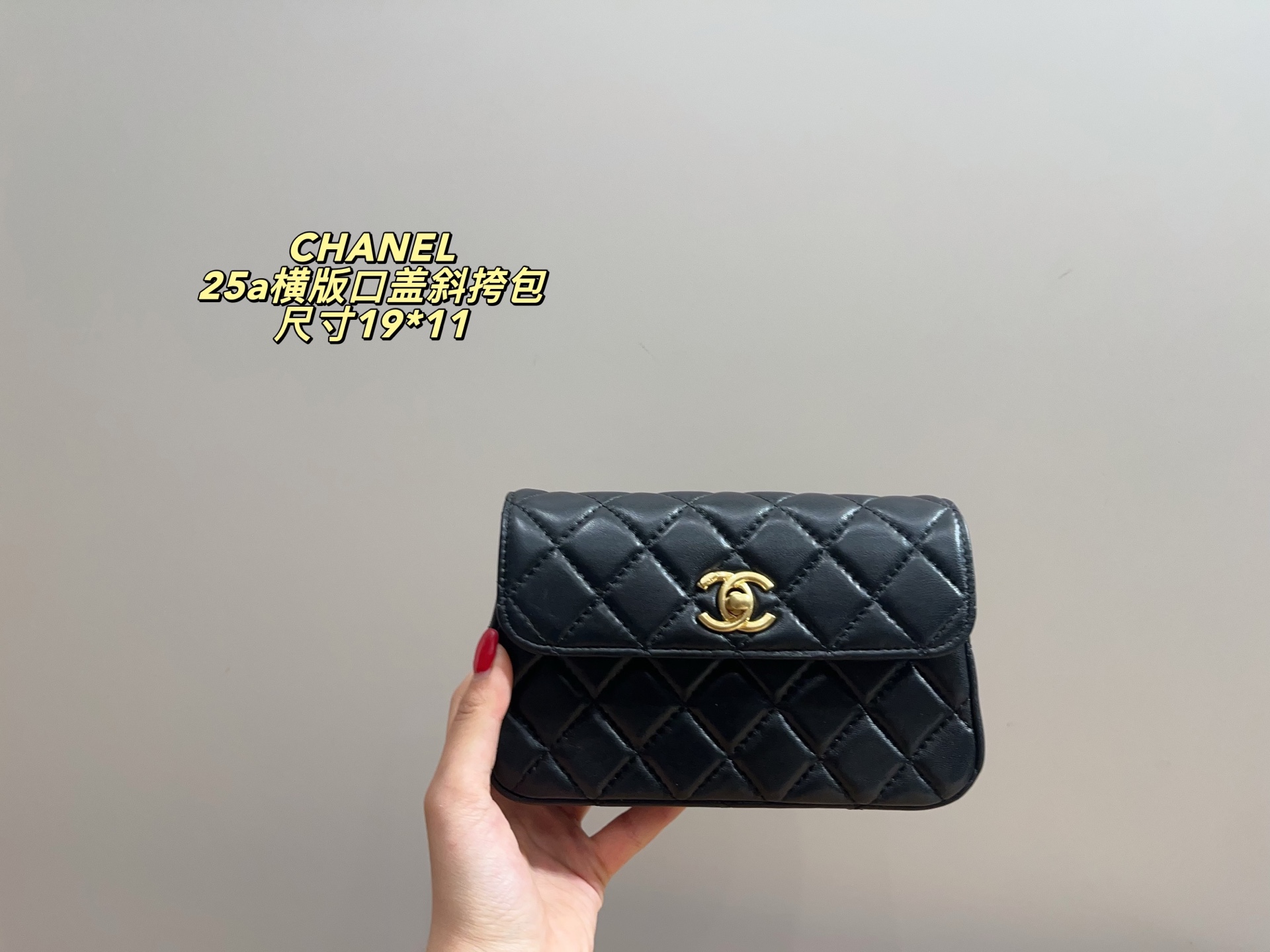 Chanel 25a Crossbody Bag