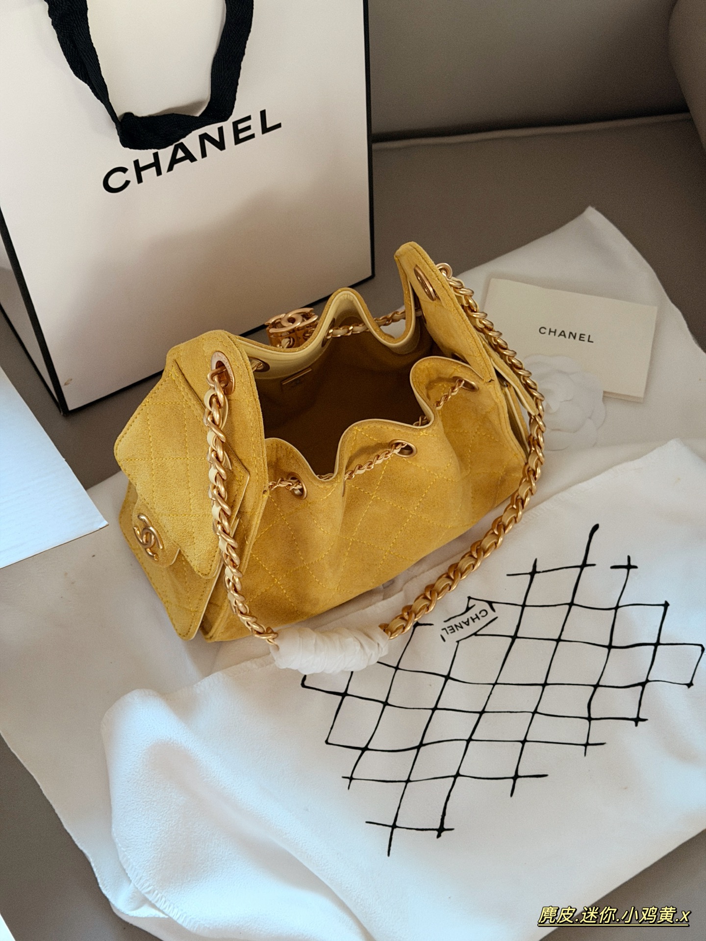 Chanel 25c Hobo Bag