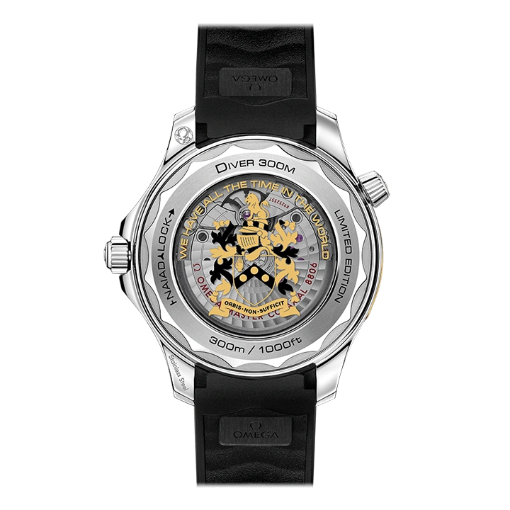 DIVER 300M CO‑AXIAL MASTER CHRONOMETER 42 MM