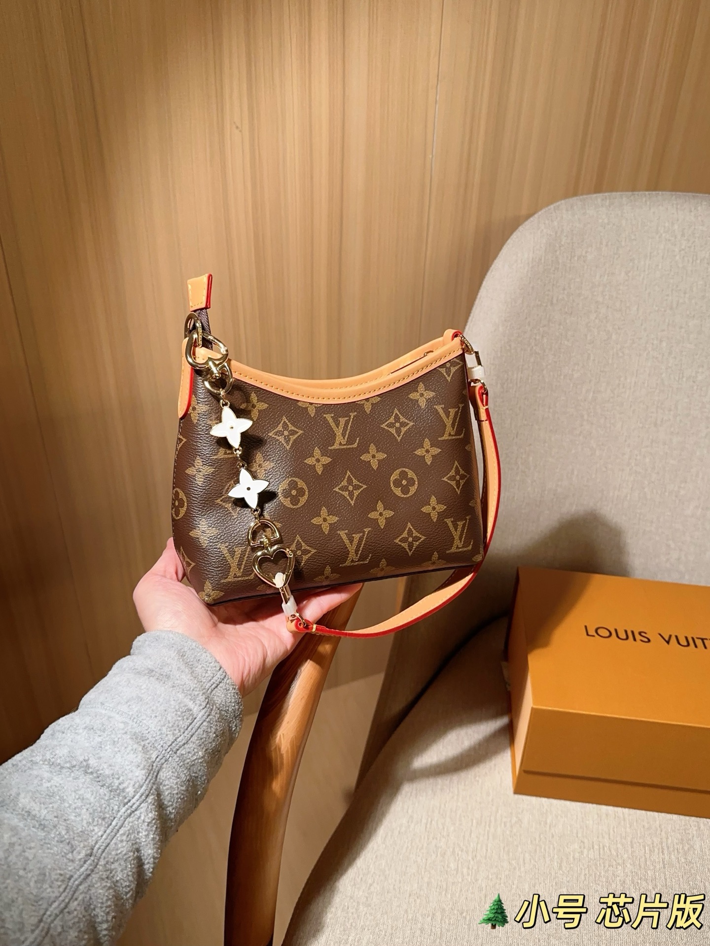 LV Hobo Bag