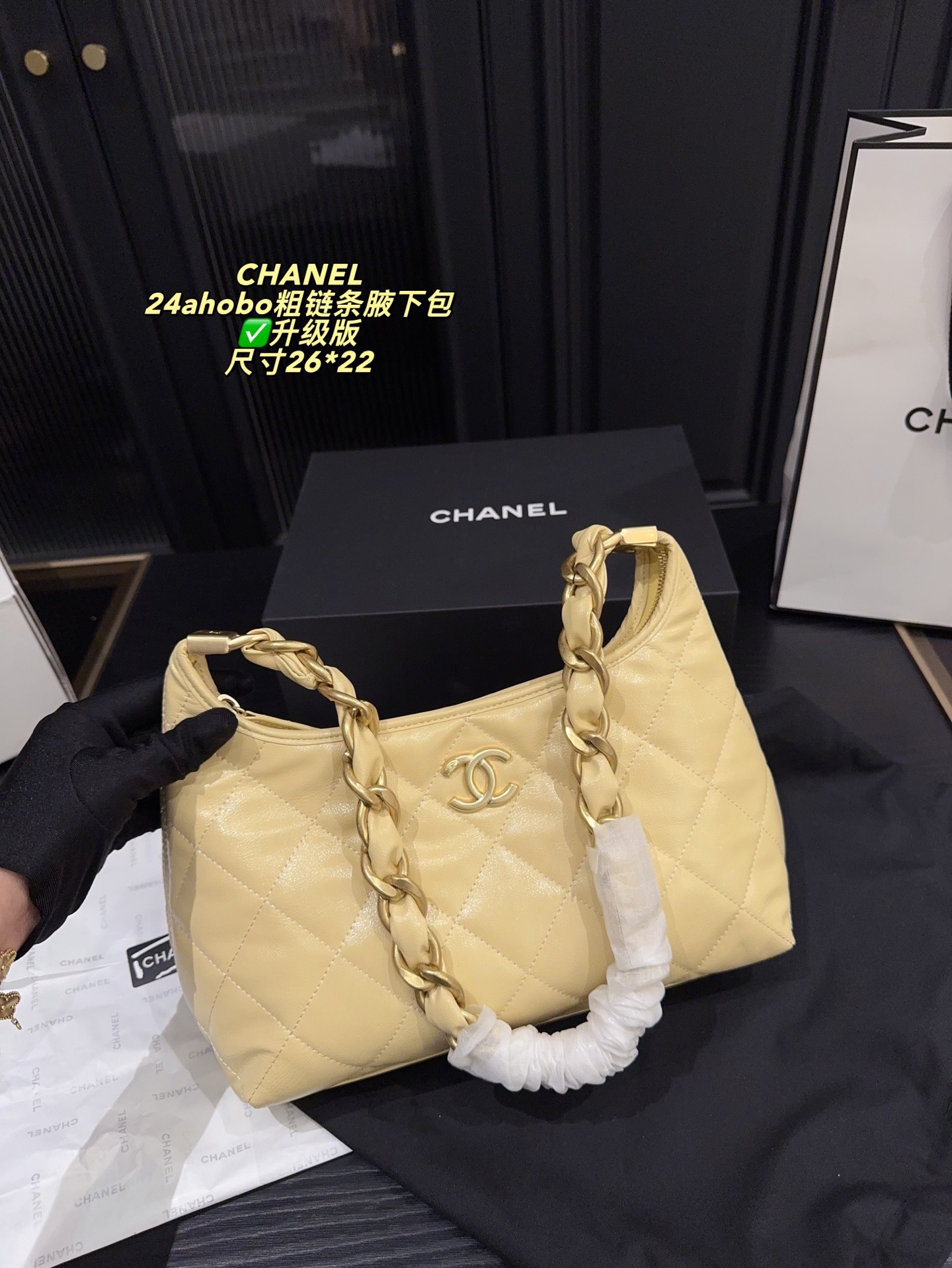 Chanel 24A Hobo Handbag
