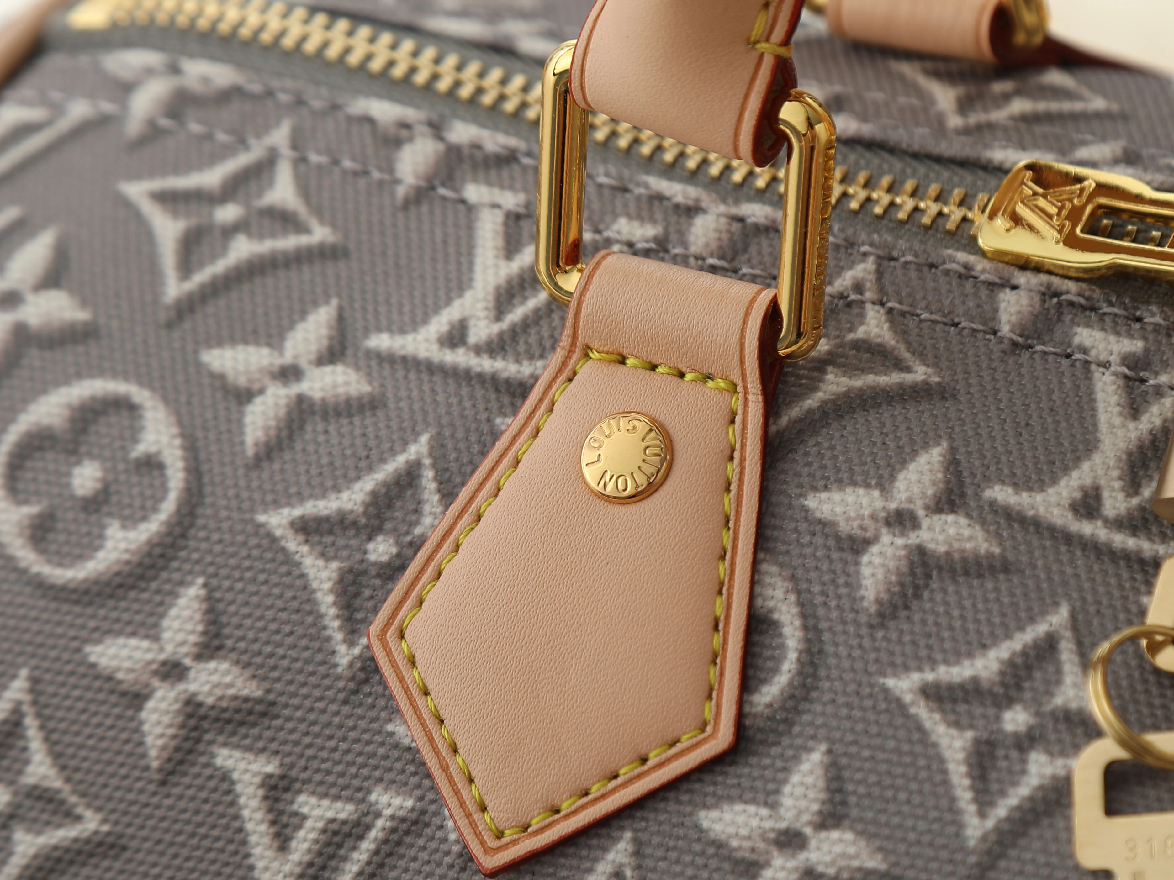 Louis Vuitton speedy Soft 30