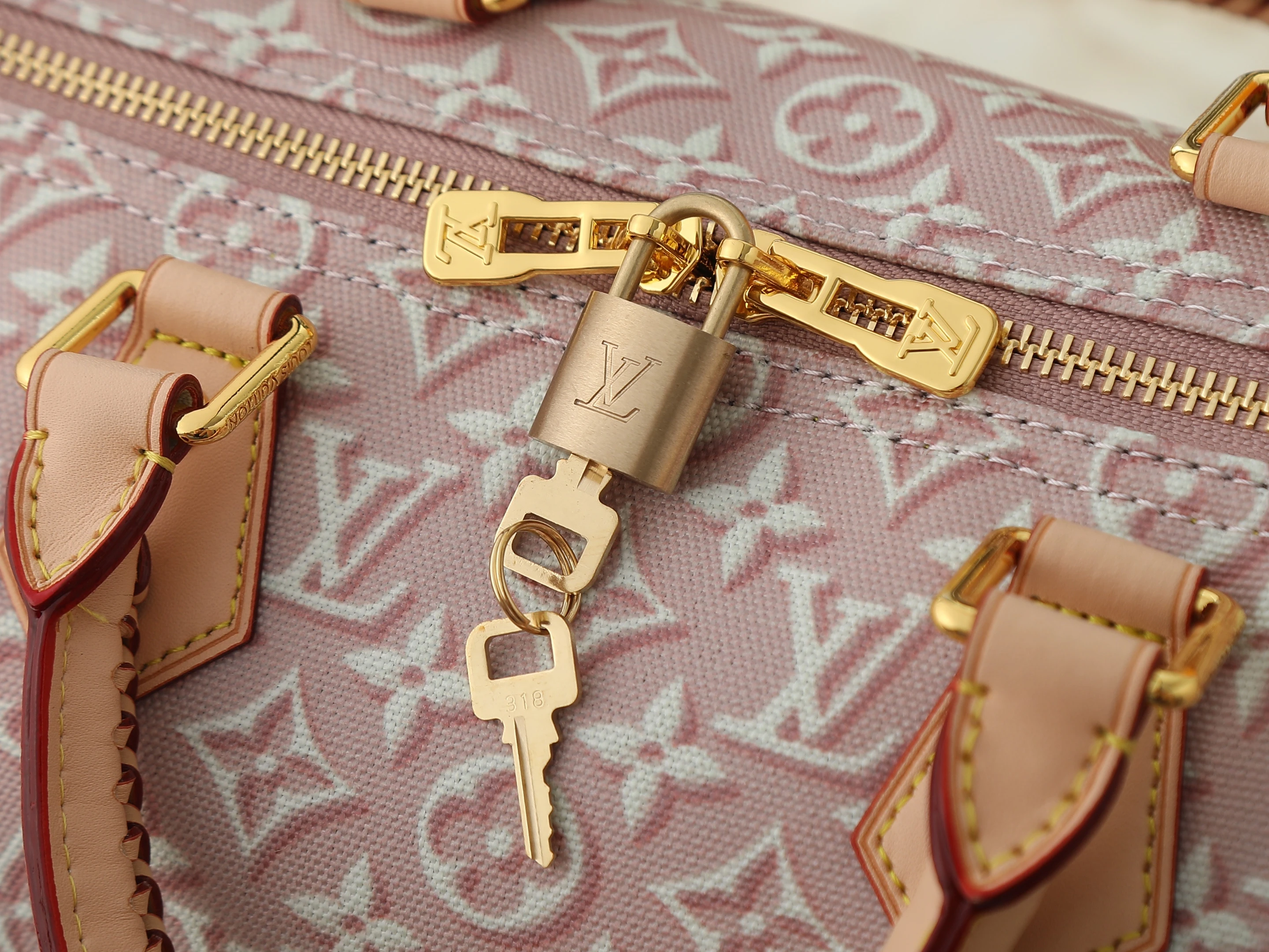 Louis Vuitton speedy Soft 30