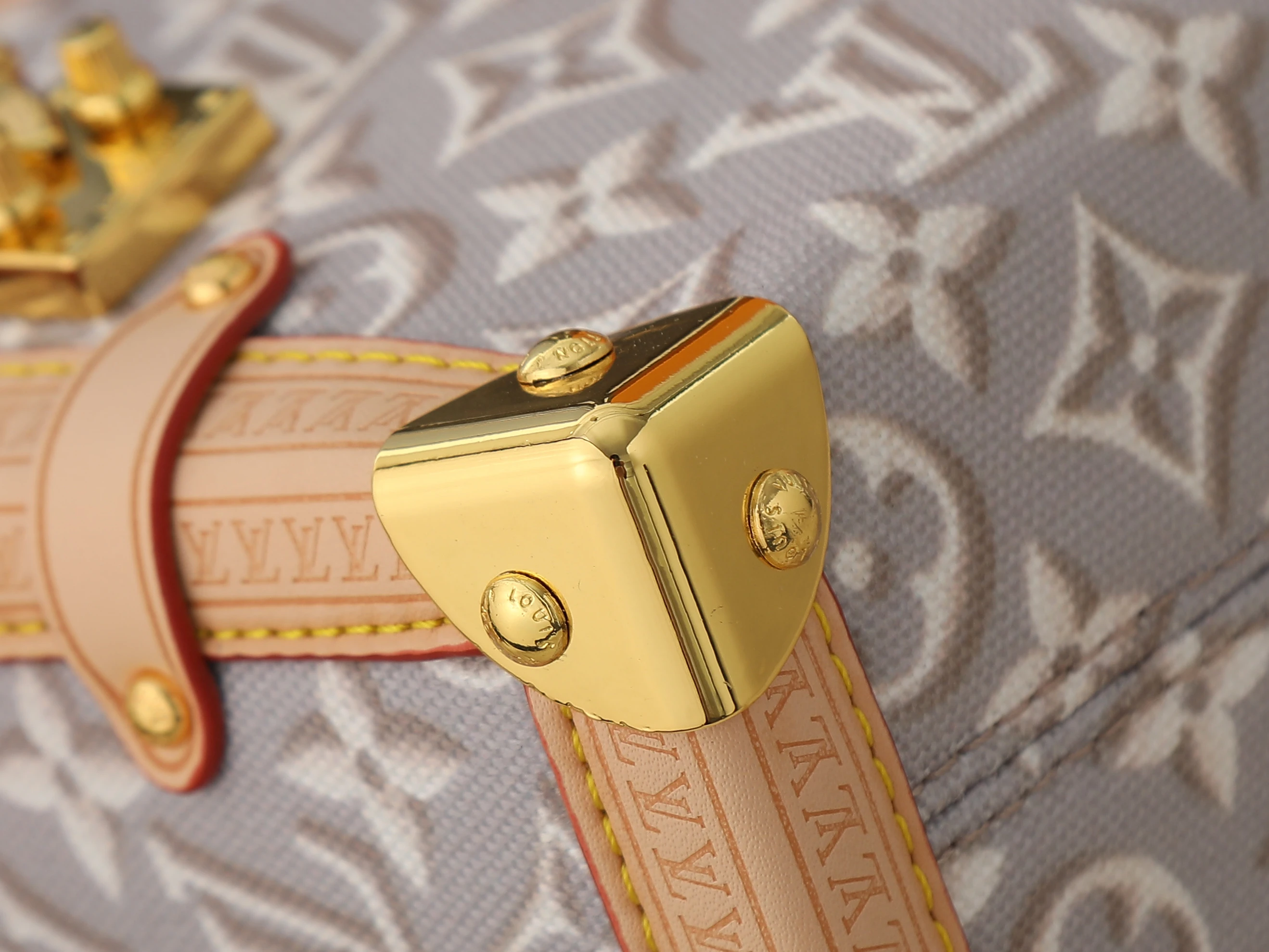 Louis Vuitton handbag