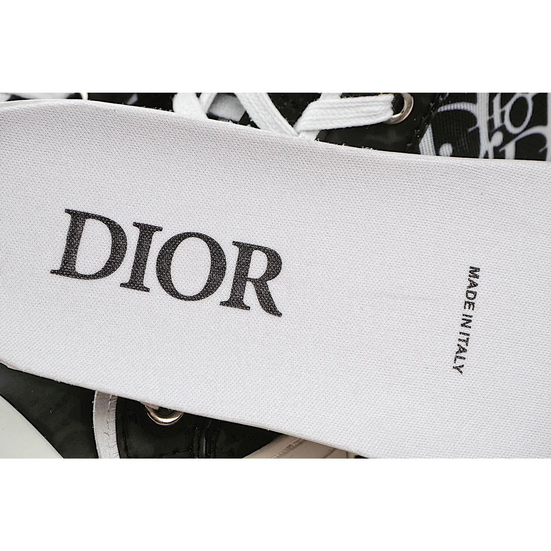 Dior B23 Oblique Slip-on Low Top Sneakers Sheer Print Sneakers