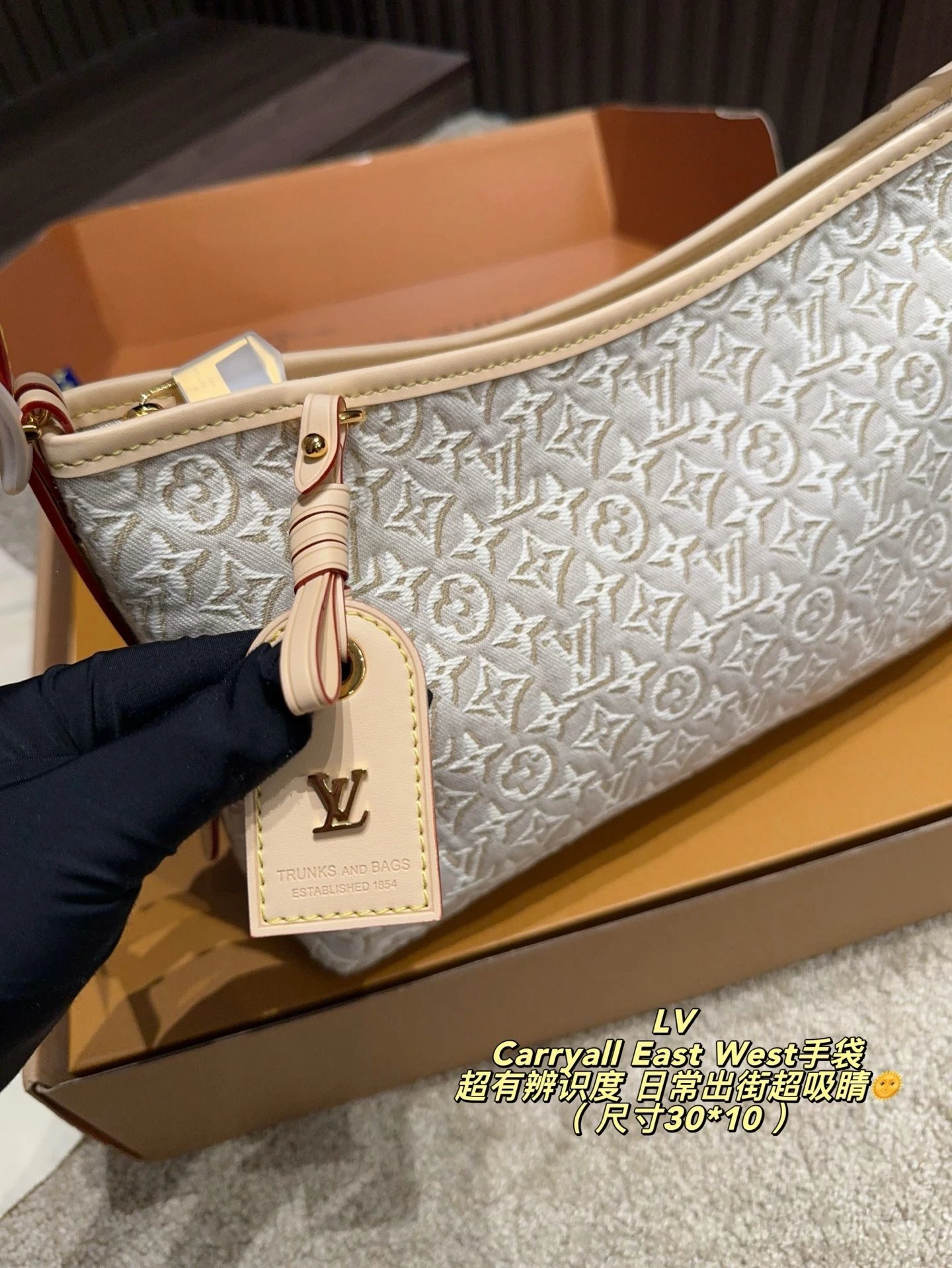 Louis Vuitton Carryall East West