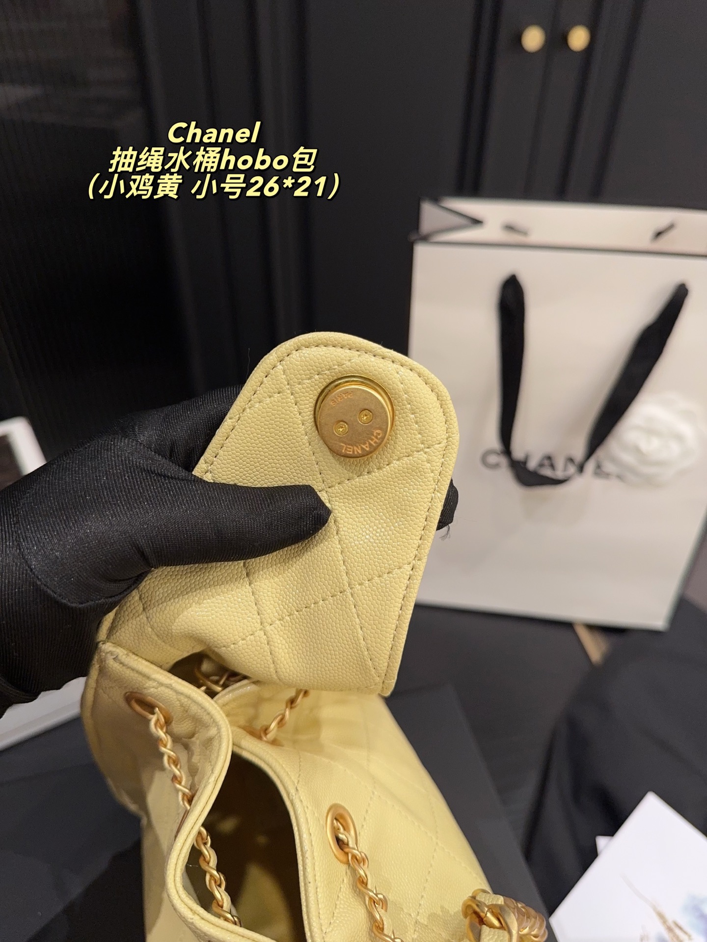 Chanel 25 Drawstring bucket hobo bag