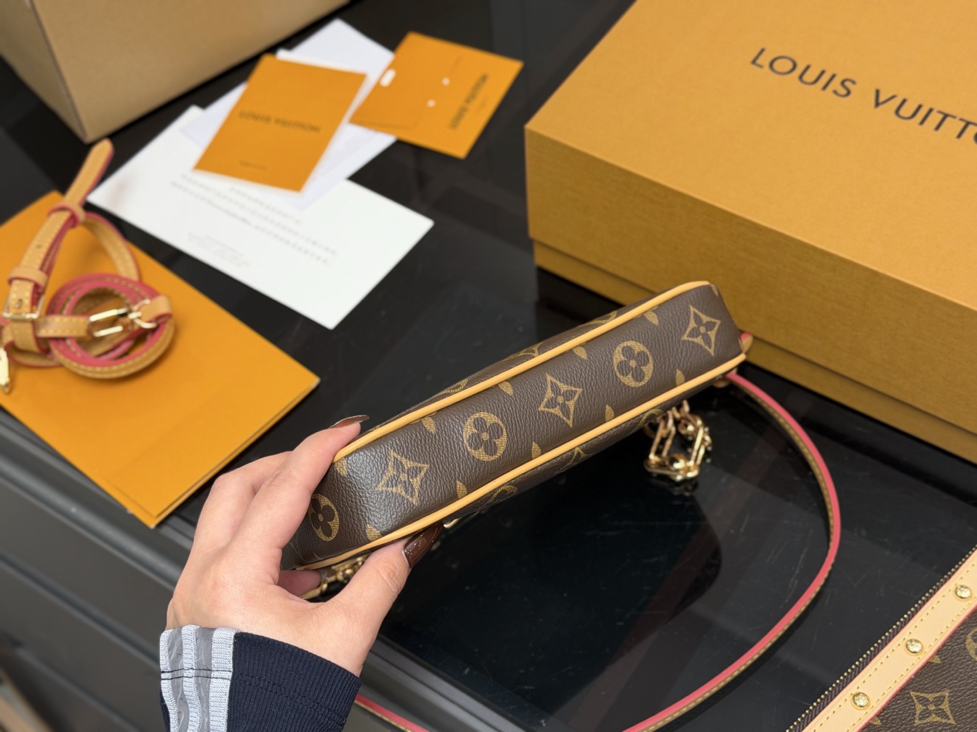 LV Hobo Bag