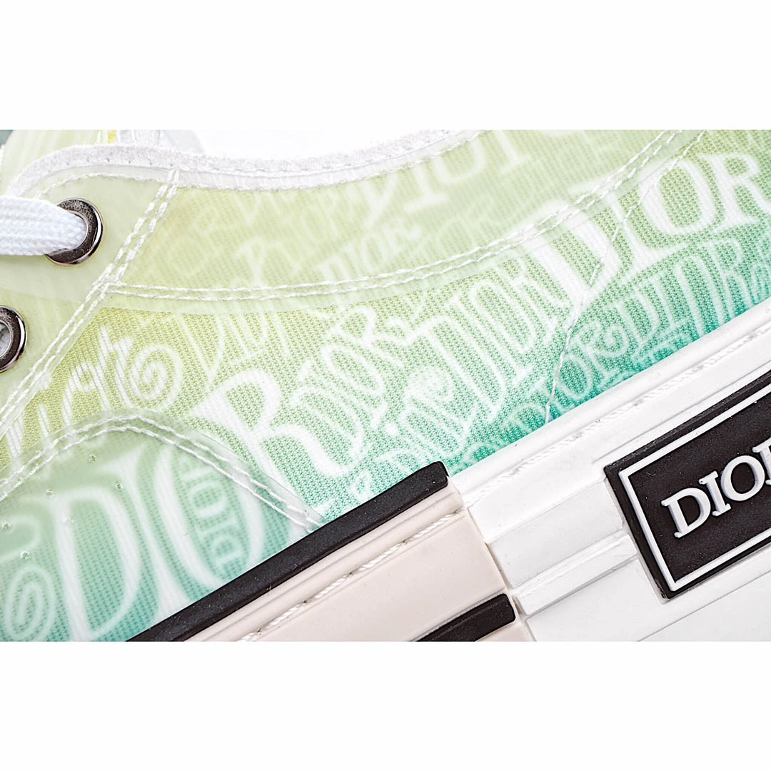 Dior B23 Oblique Slip-on Low Top Sneakers Sheer Print Sneakers