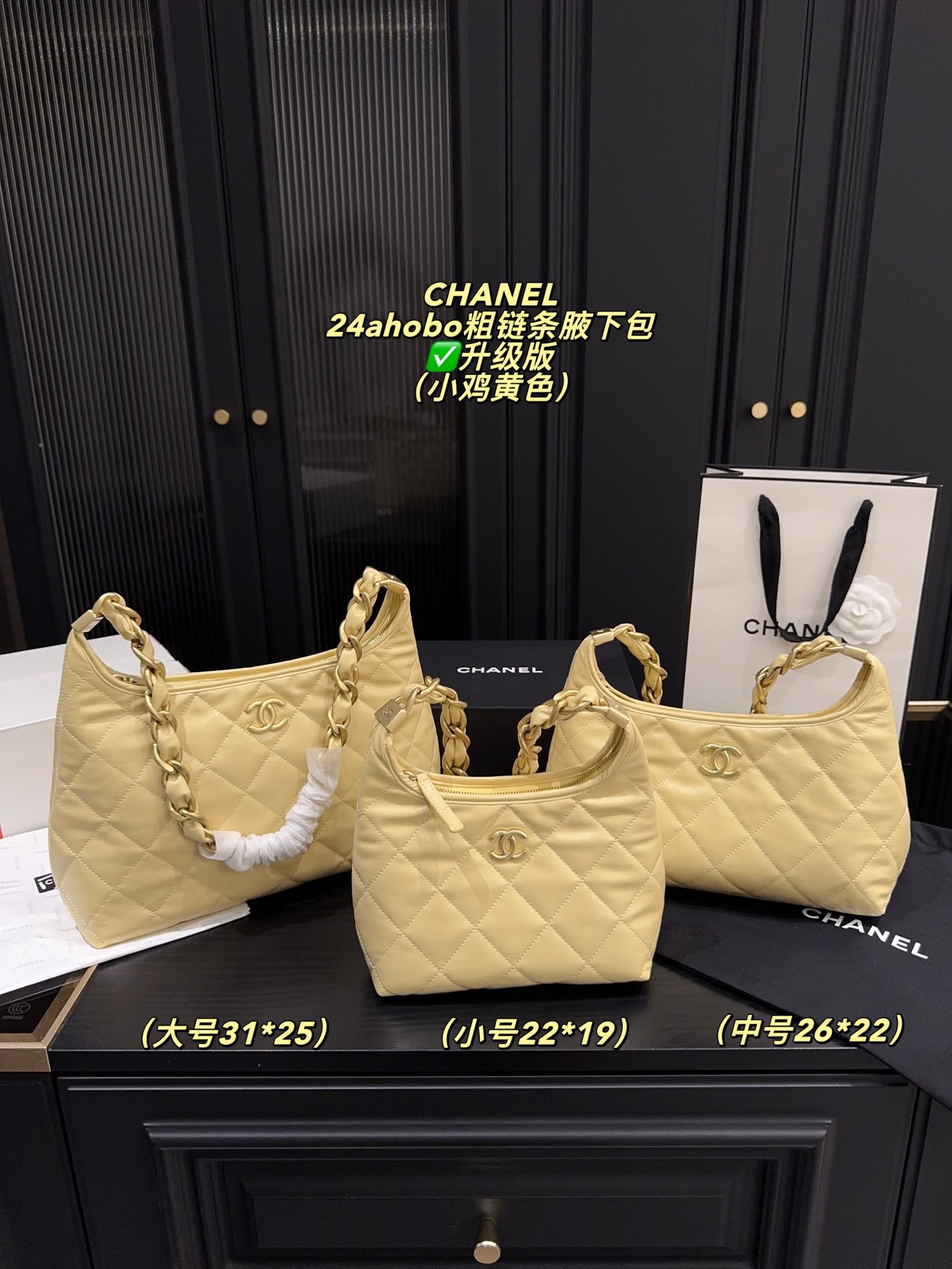 Chanel 24A Hobo Handbag