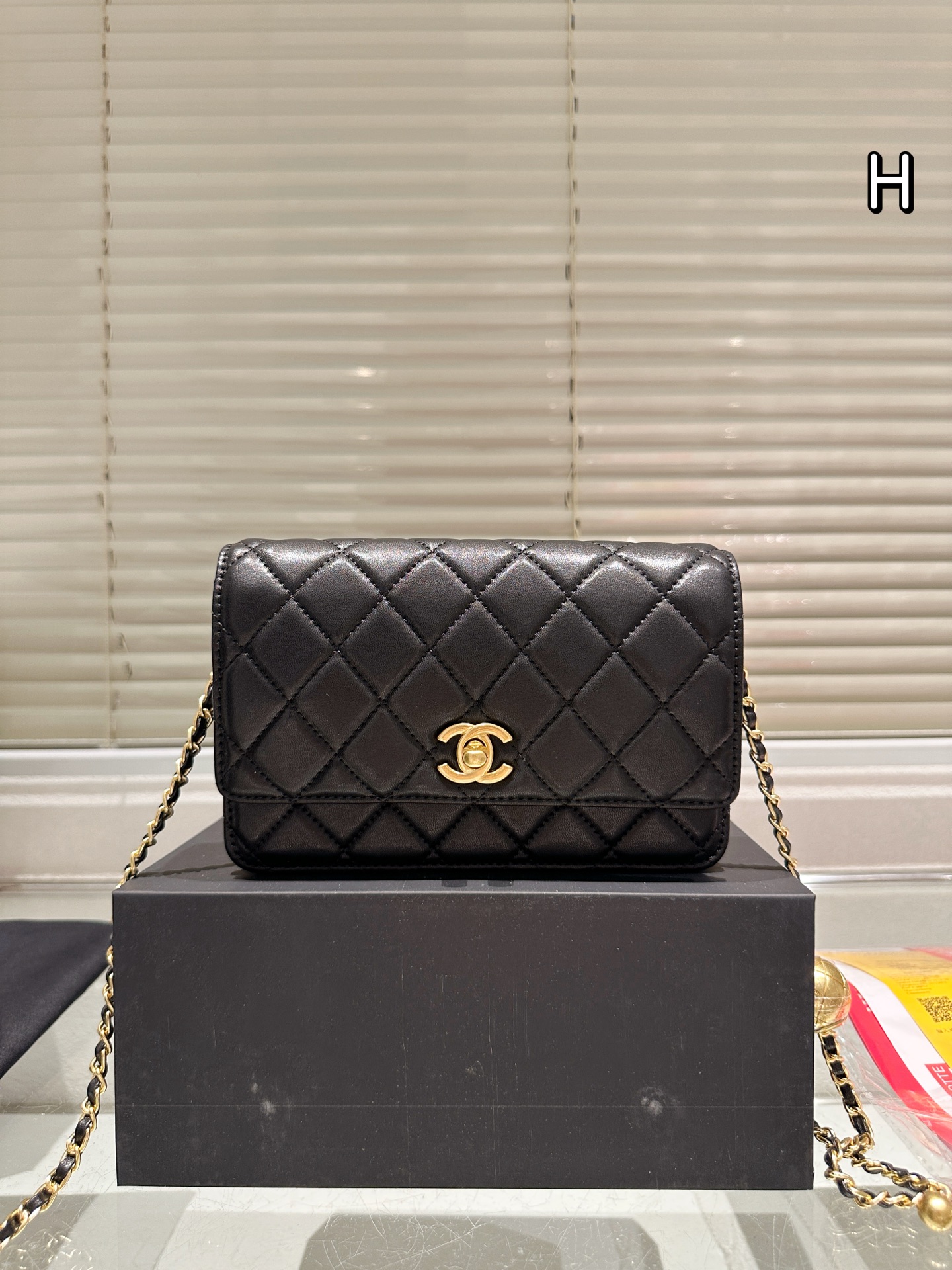 Chanel 19 Trendy Woc Crossbody Bag
