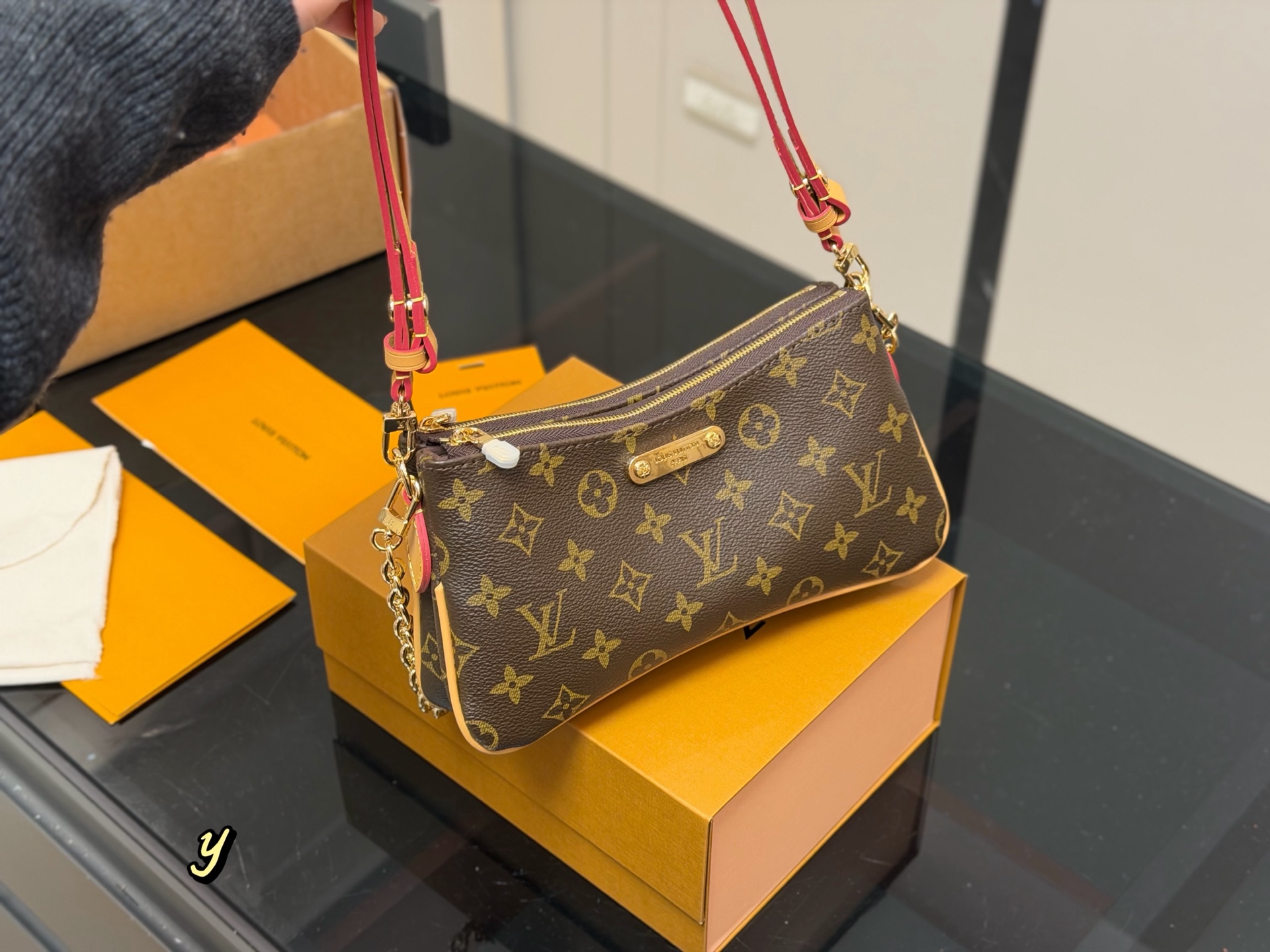 LV Hobo Bag