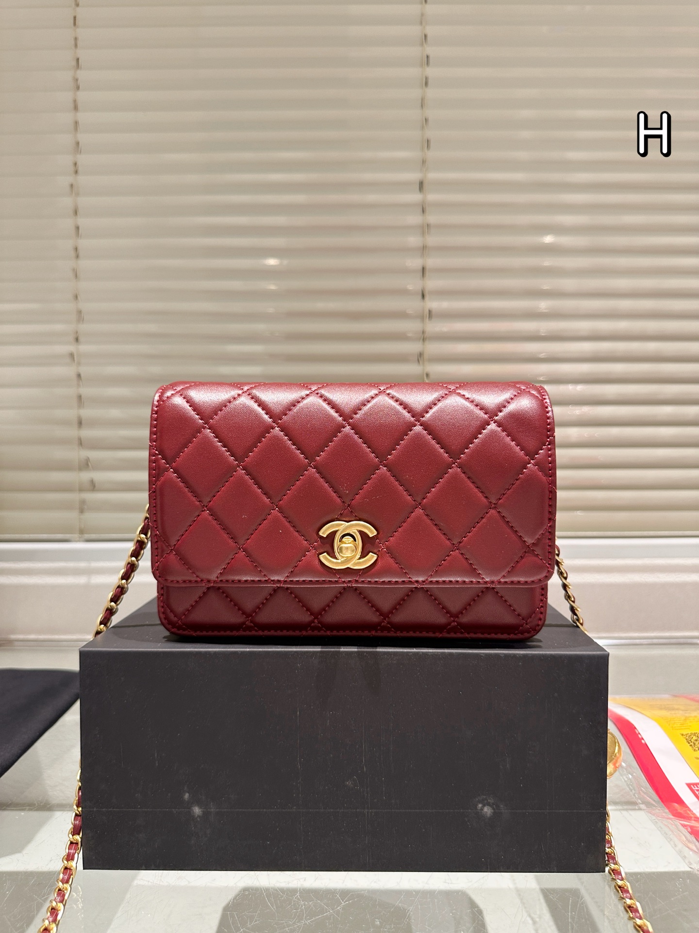 Chanel 19 Trendy Woc Crossbody Bag