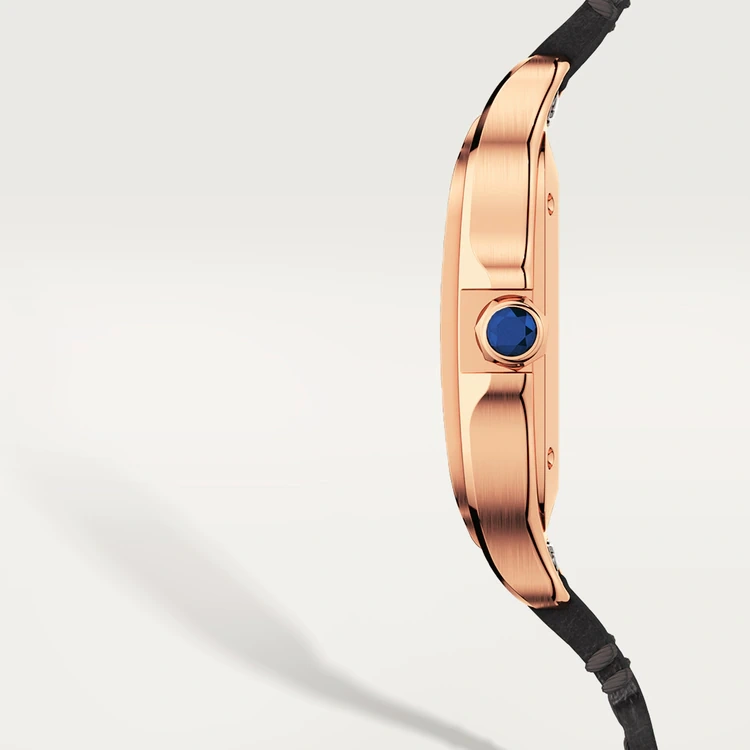 SANTOS DE CARTIER WATCH -WGSA0028
