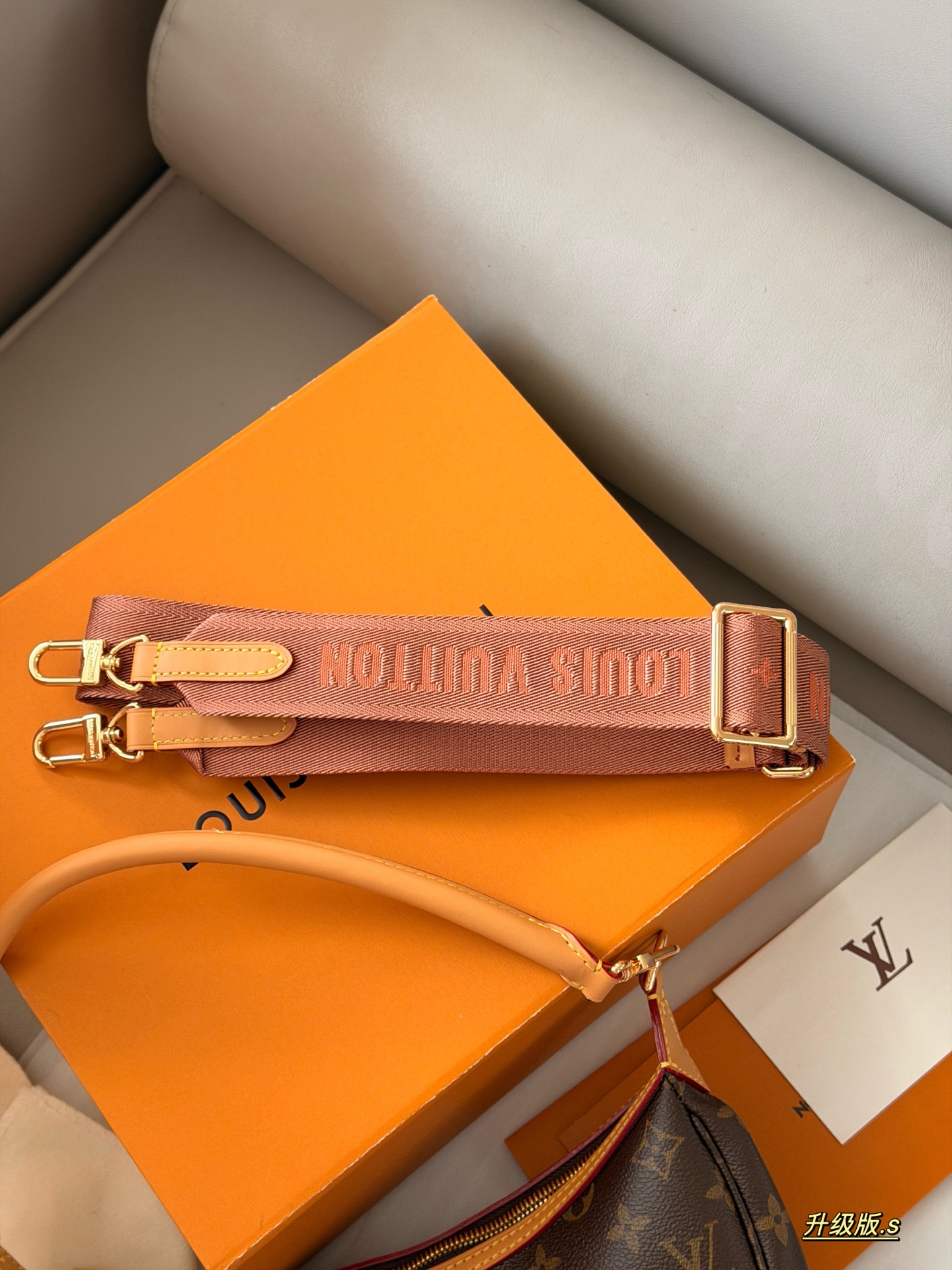 LV Loop Bag
