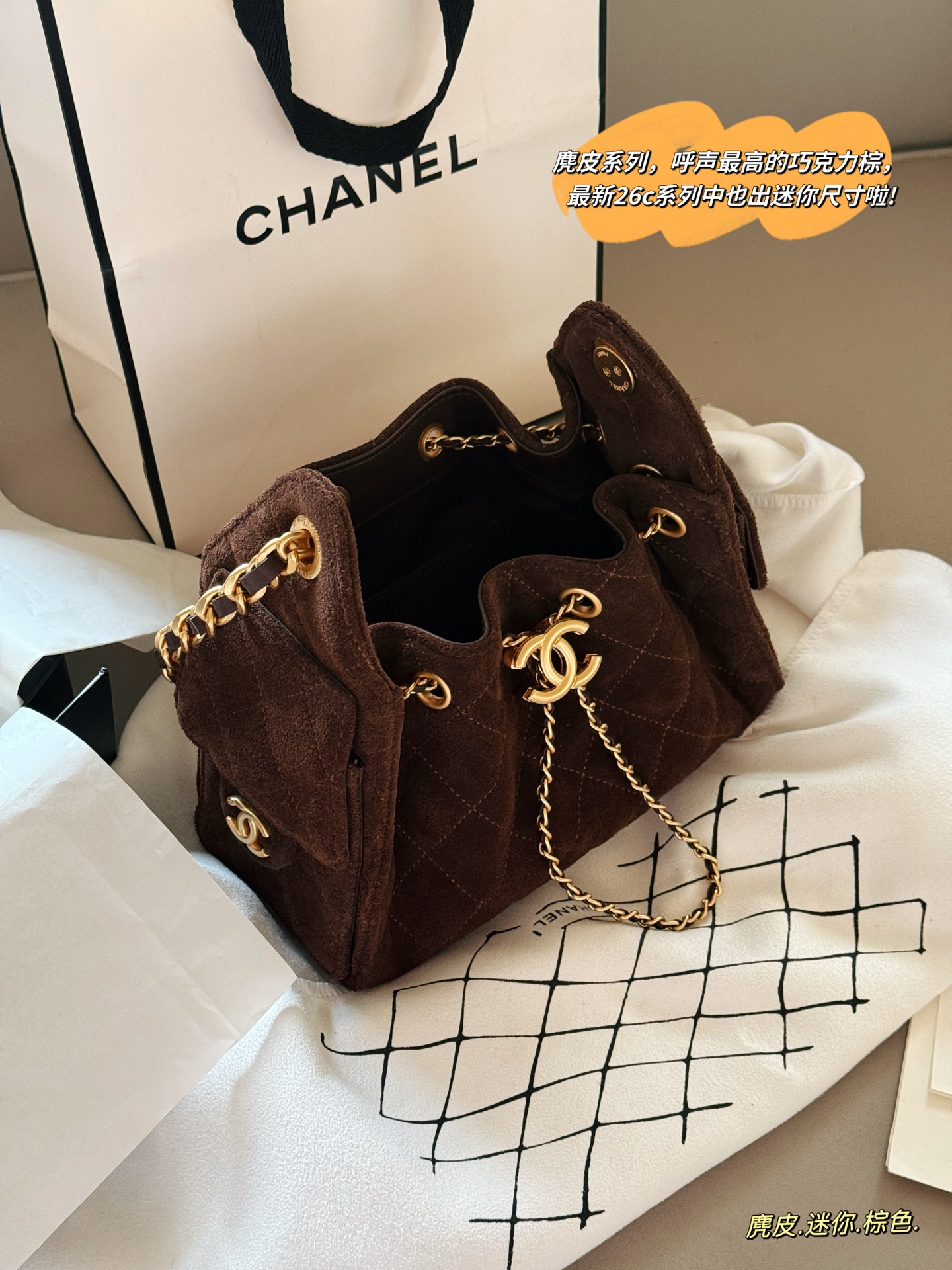 Chanel 25c Hobo Bag