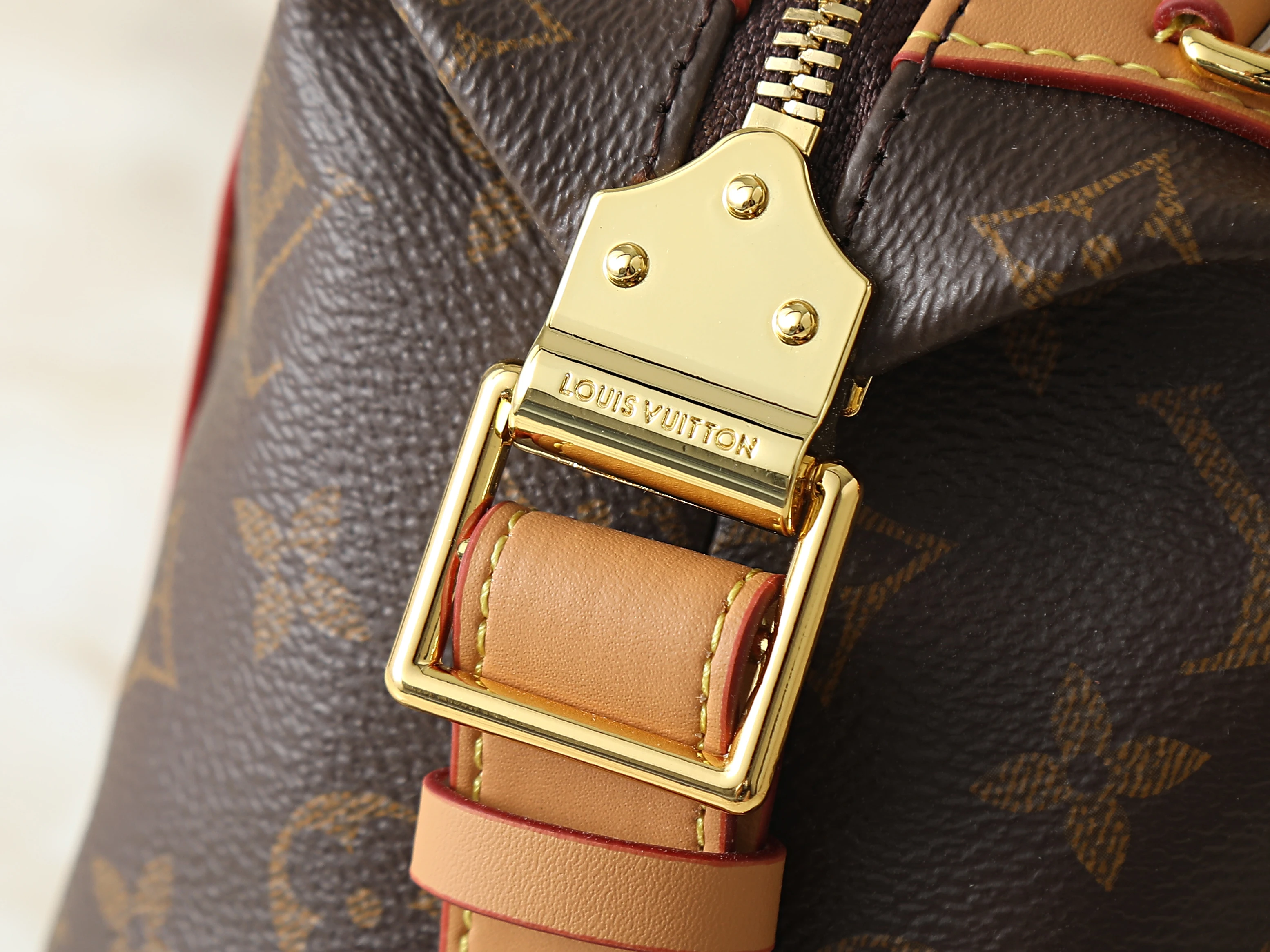 LV Biker