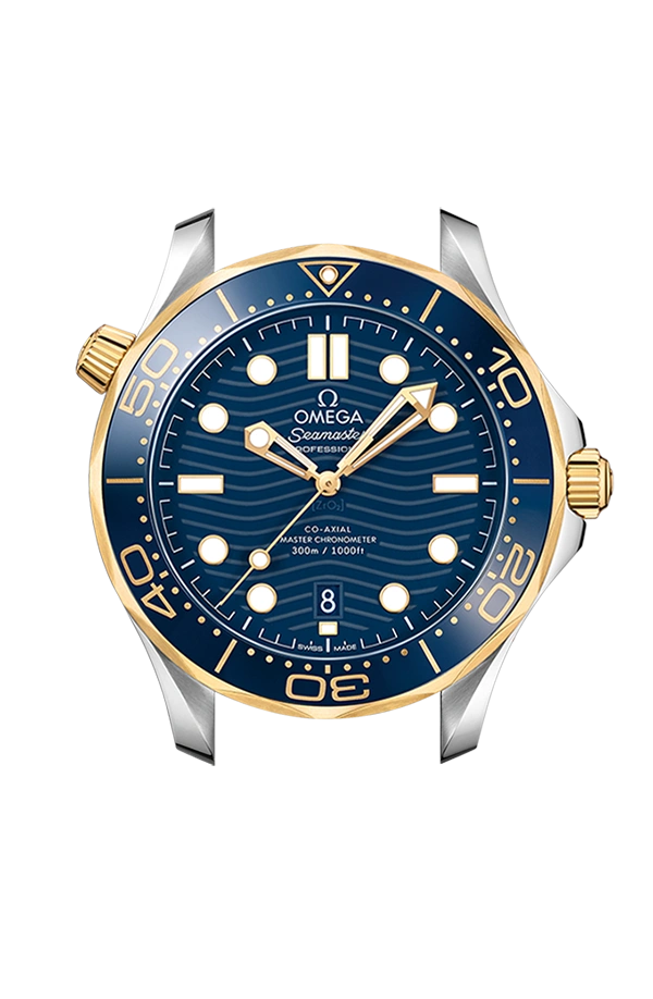 DIVER 300M CO‑AXIAL MASTER CHRONOMETER 42 MM-210.22.42.20.03.001