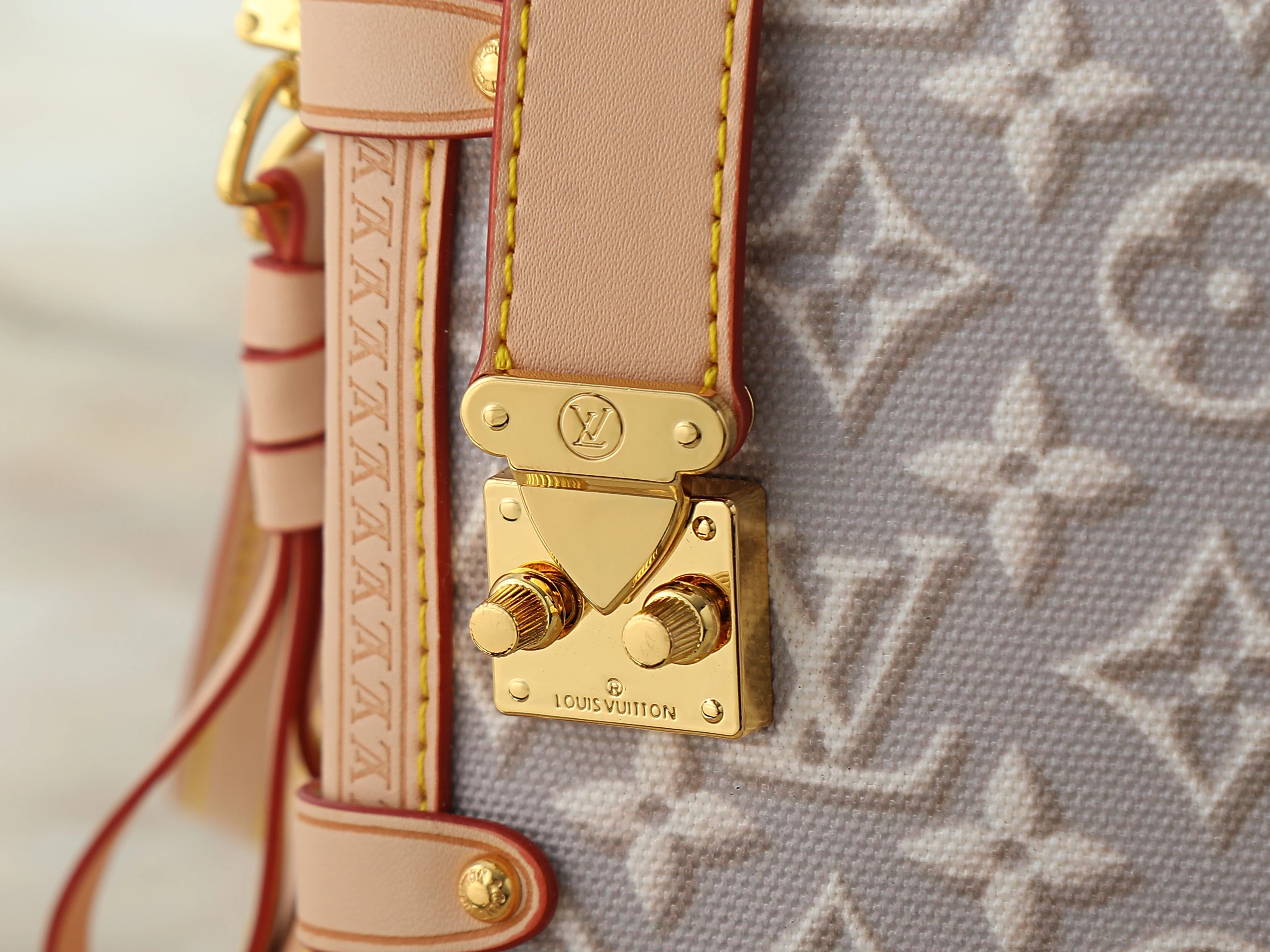 Louis Vuitton handbag