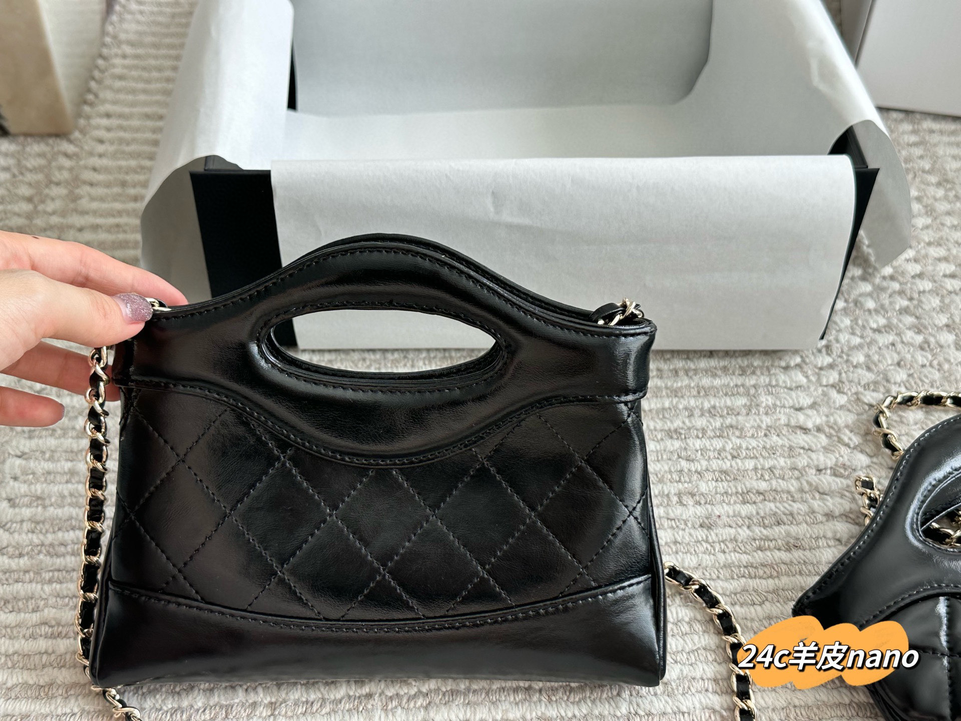 Chanel Nano 31bag