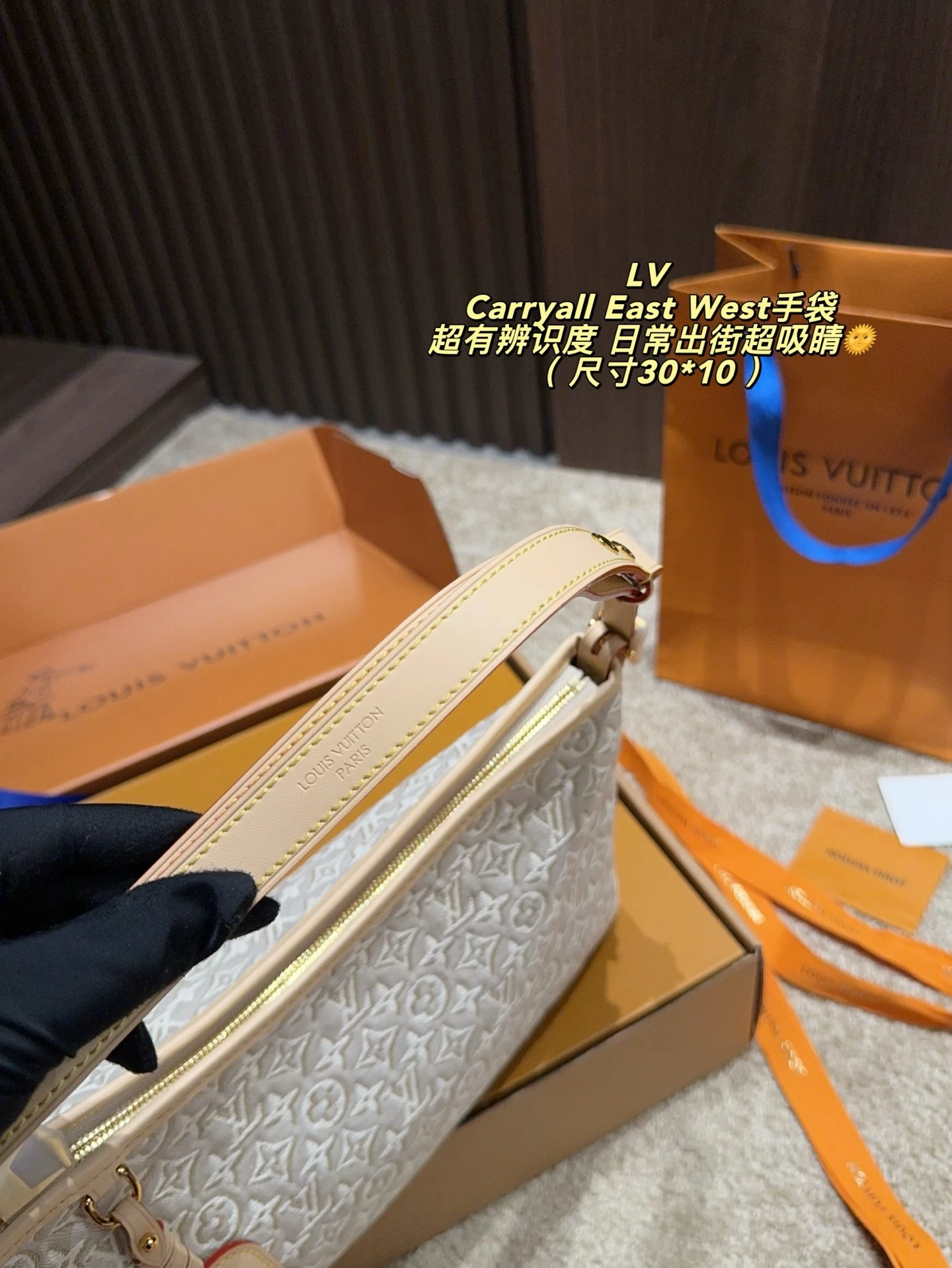 Louis Vuitton Carryall East West