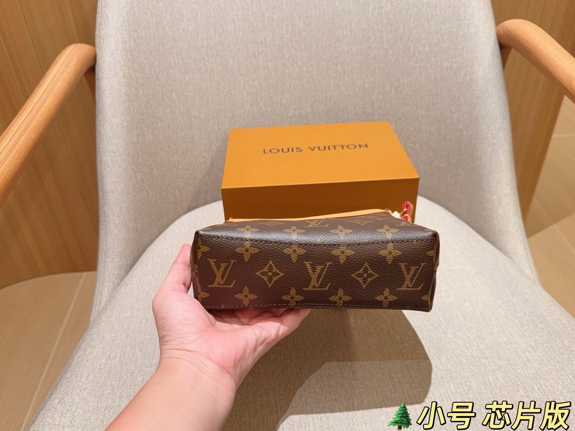 LV Hobo Bag