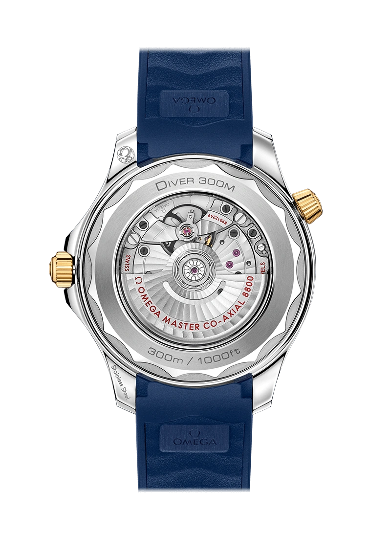 DIVER 300M CO‑AXIAL MASTER CHRONOMETER 42 MM-210.22.42.20.03.001