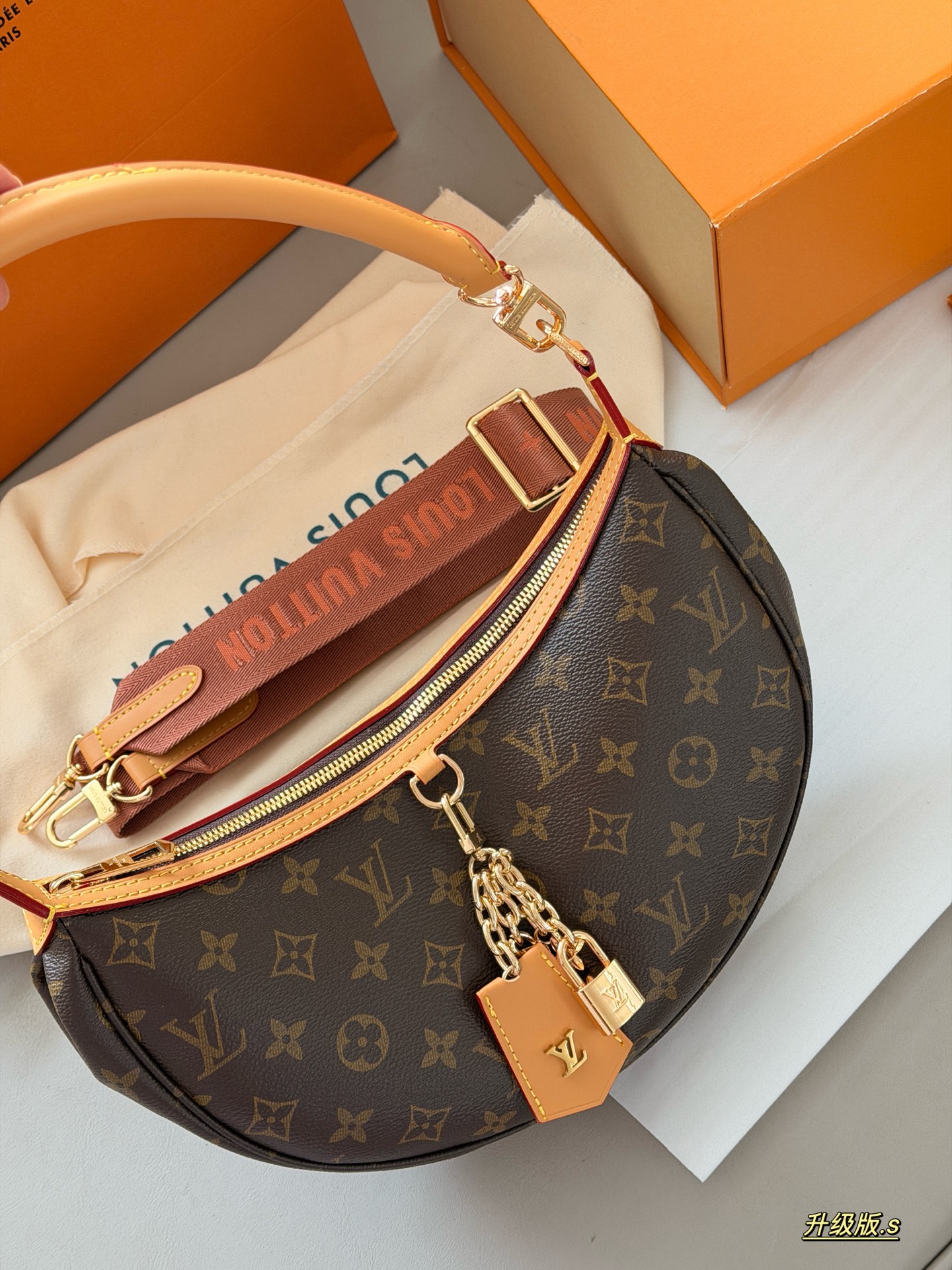LV Loop Bag
