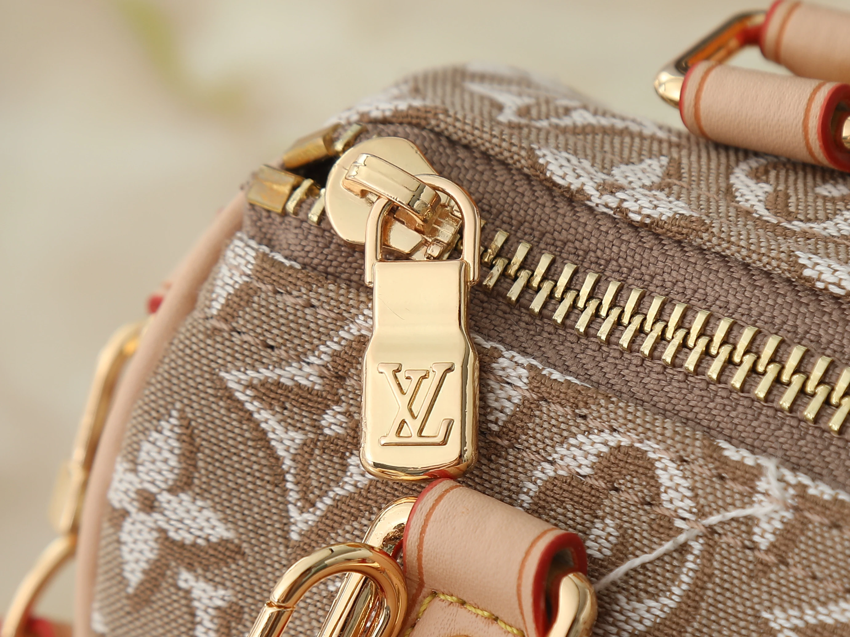 Louis Vuitton Nano Speedy
