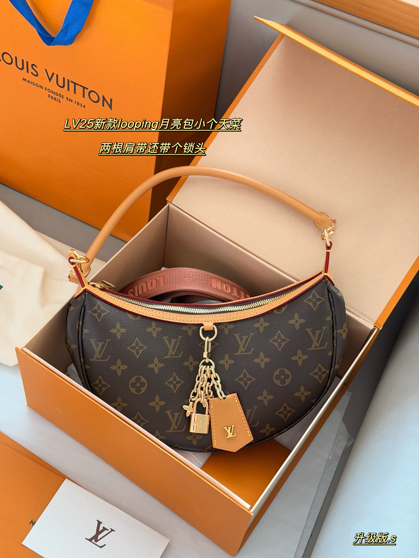 LV Loop Bag