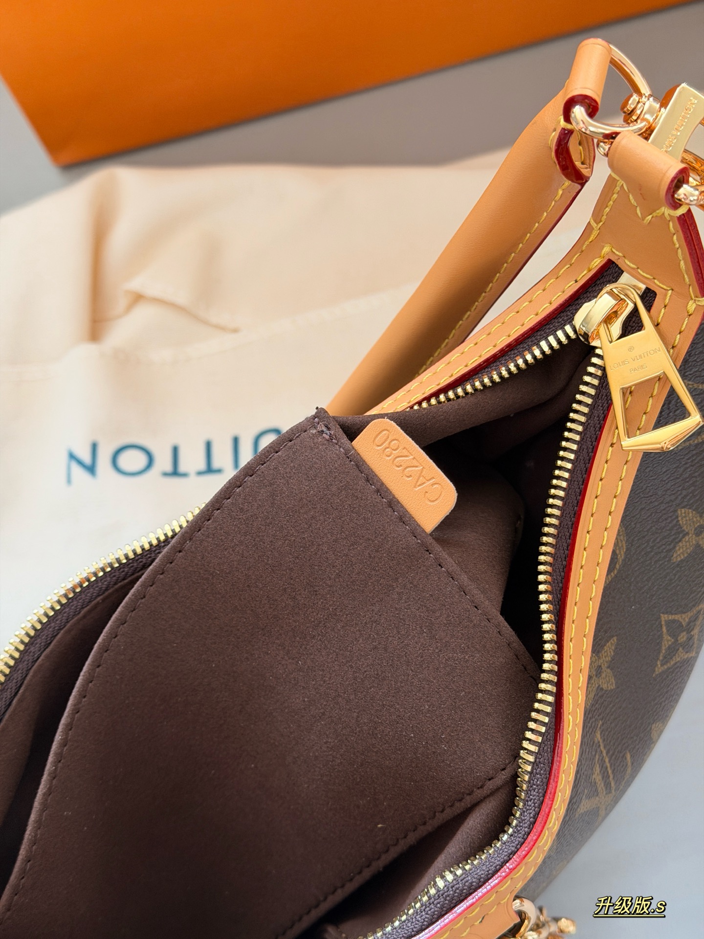 LV Loop Bag