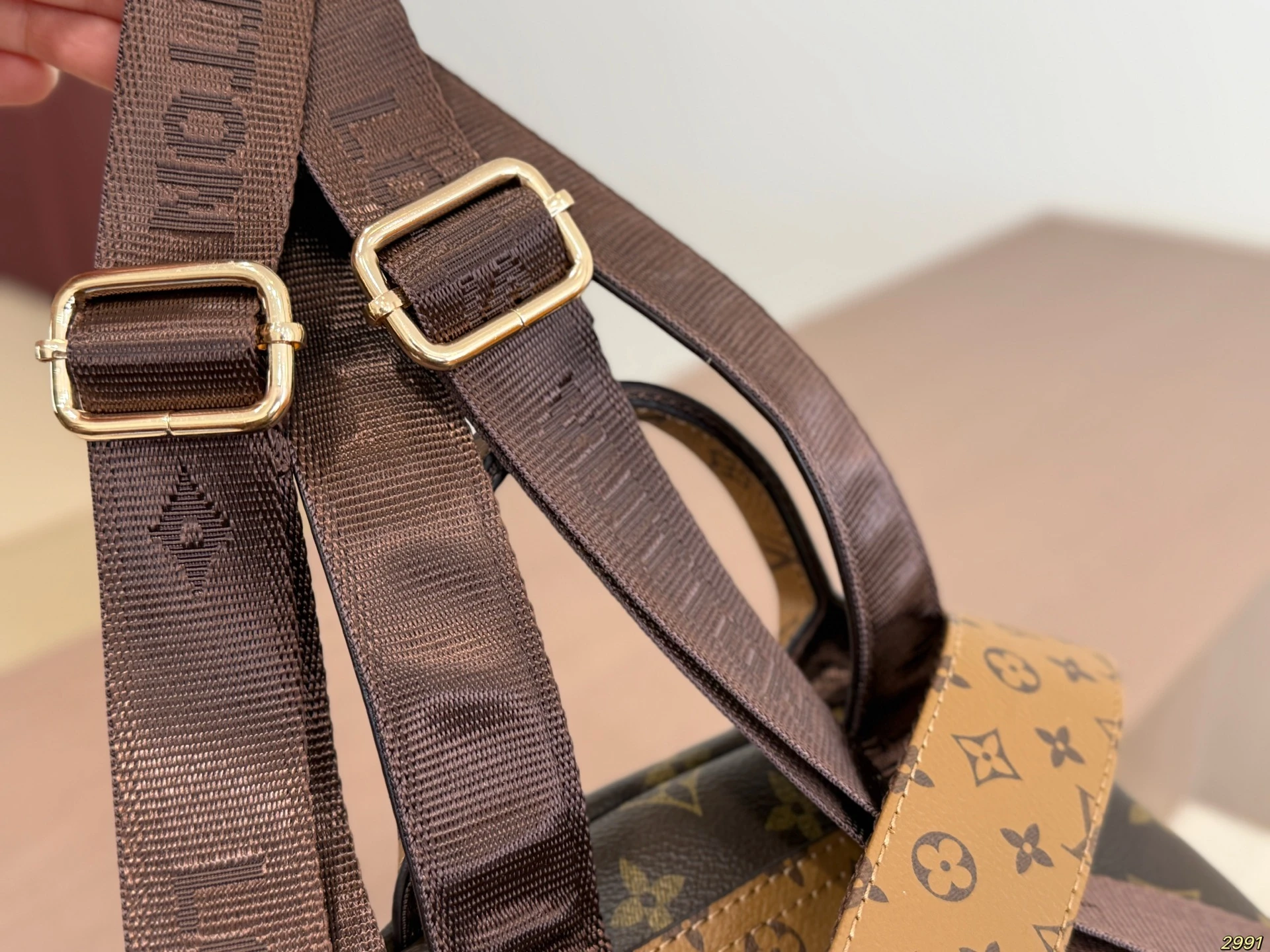 LV Backpack