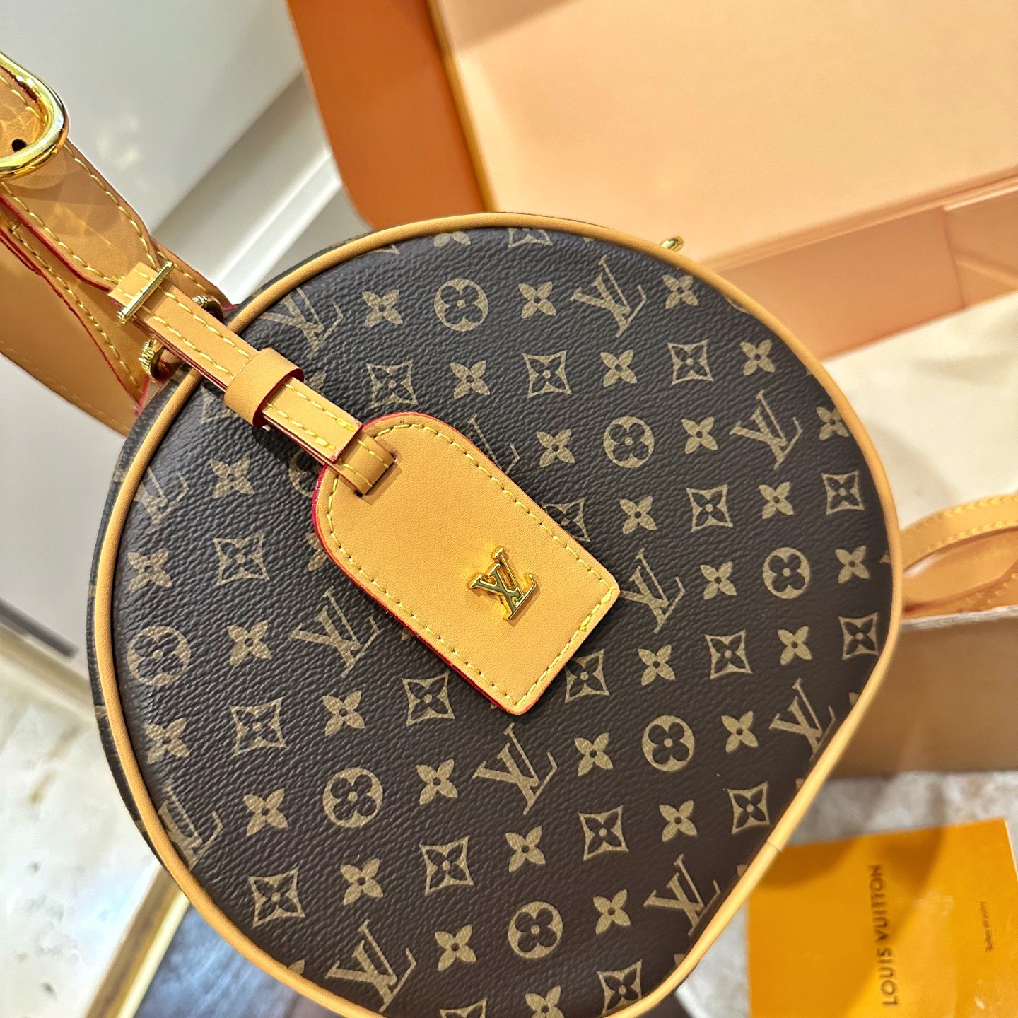 LV Box Bag