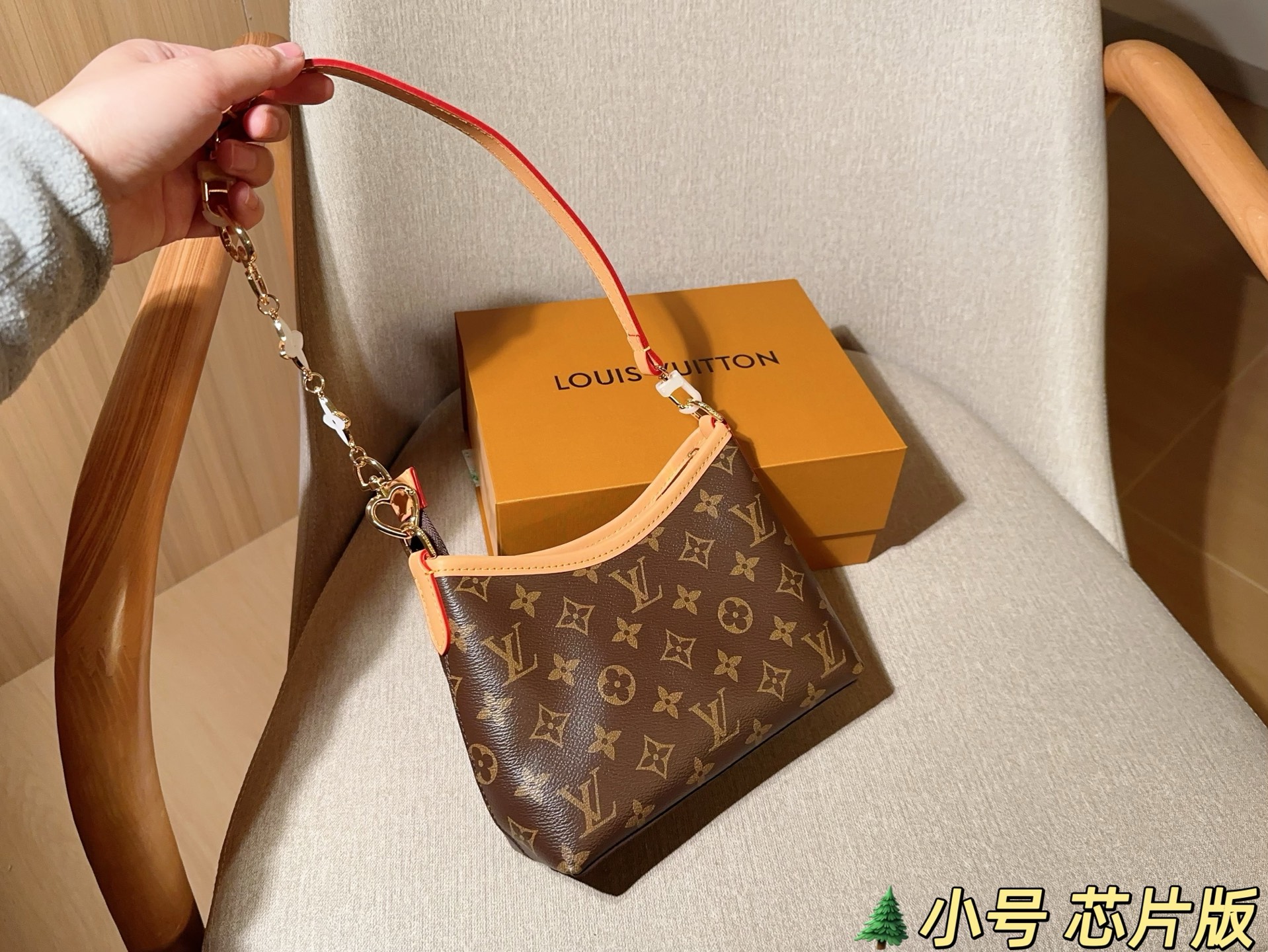 LV Hobo Bag