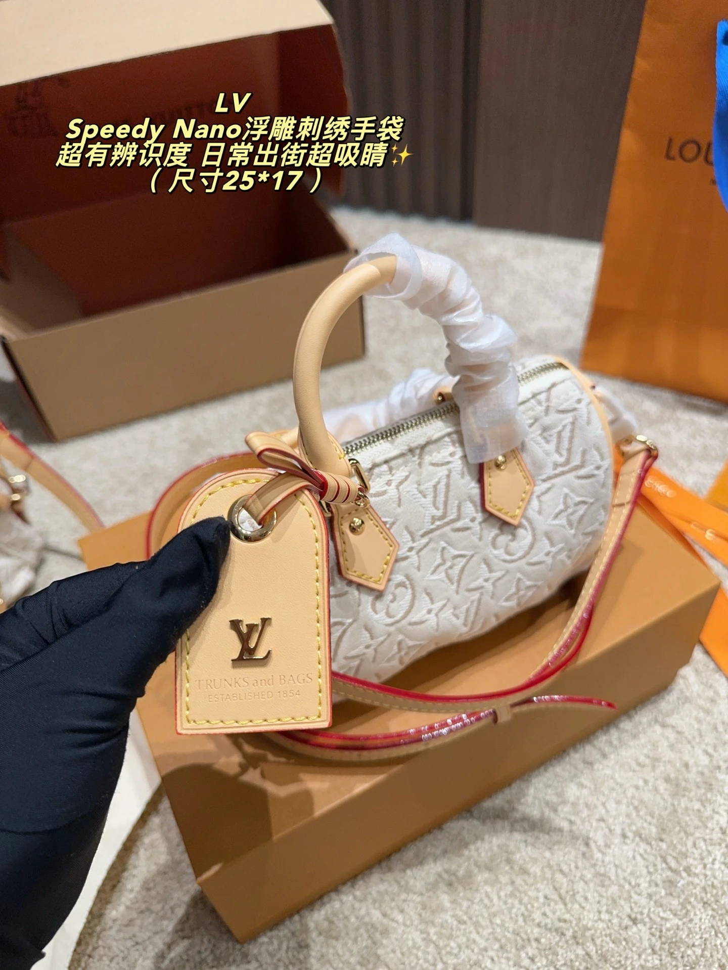 Louis Vuitton Speedy Nano